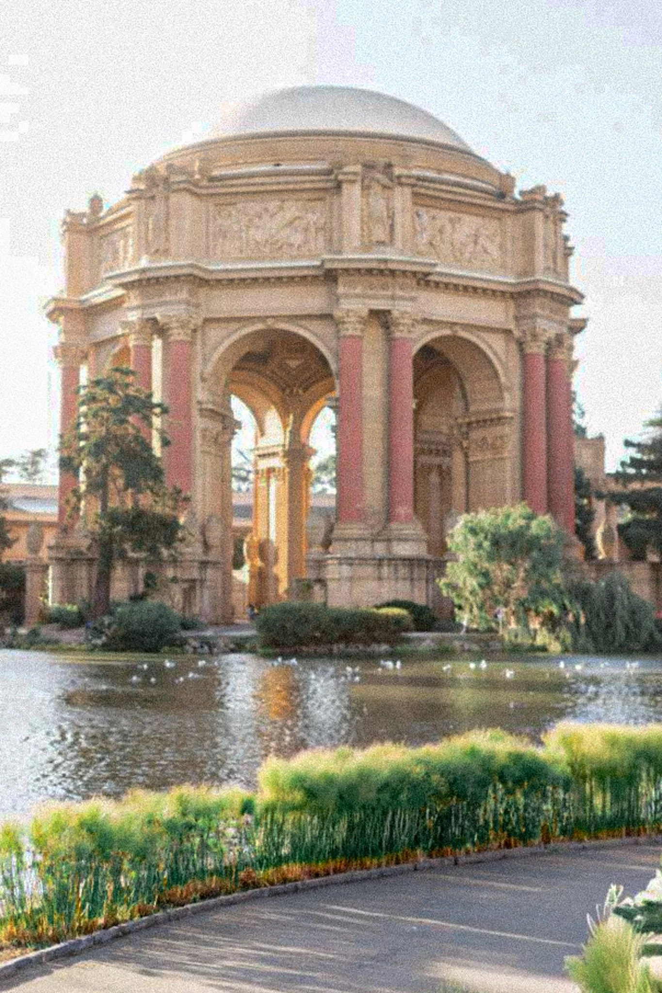 best-places-for-wedding-photos-in-san-francisco.jpg