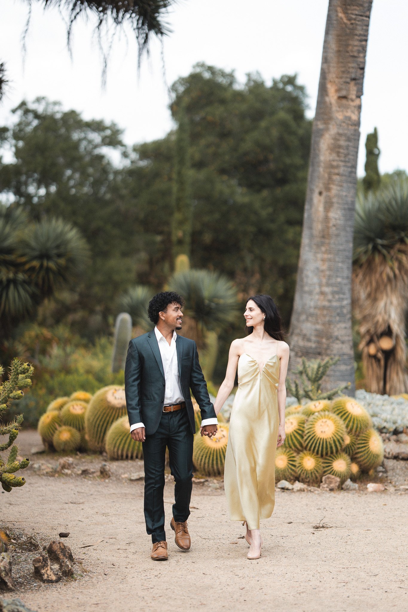 A man and woman hold hands while walking in Arizona Cactus Garden in Palo Alto near Stanford University a desert garden with cacti and succulents, tall palm trees, and green trees in the background.