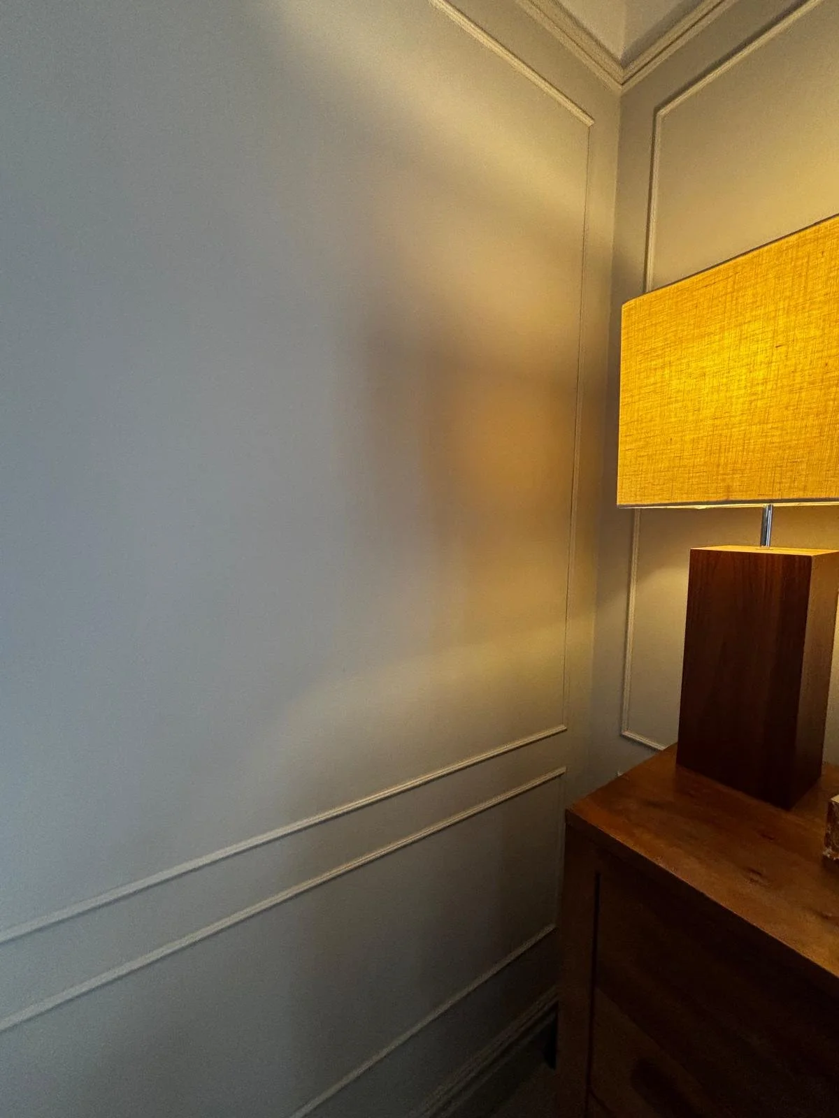8b823d79-62ae-4d98-9bed-524e879756e0.JPG