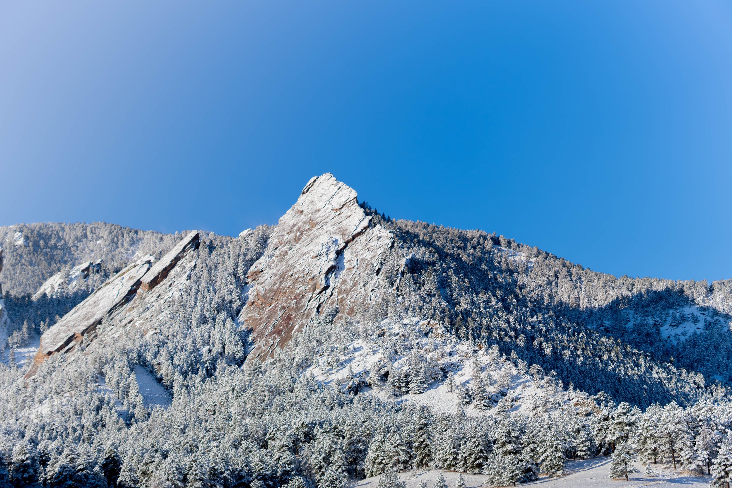 _DSC3064.jpg