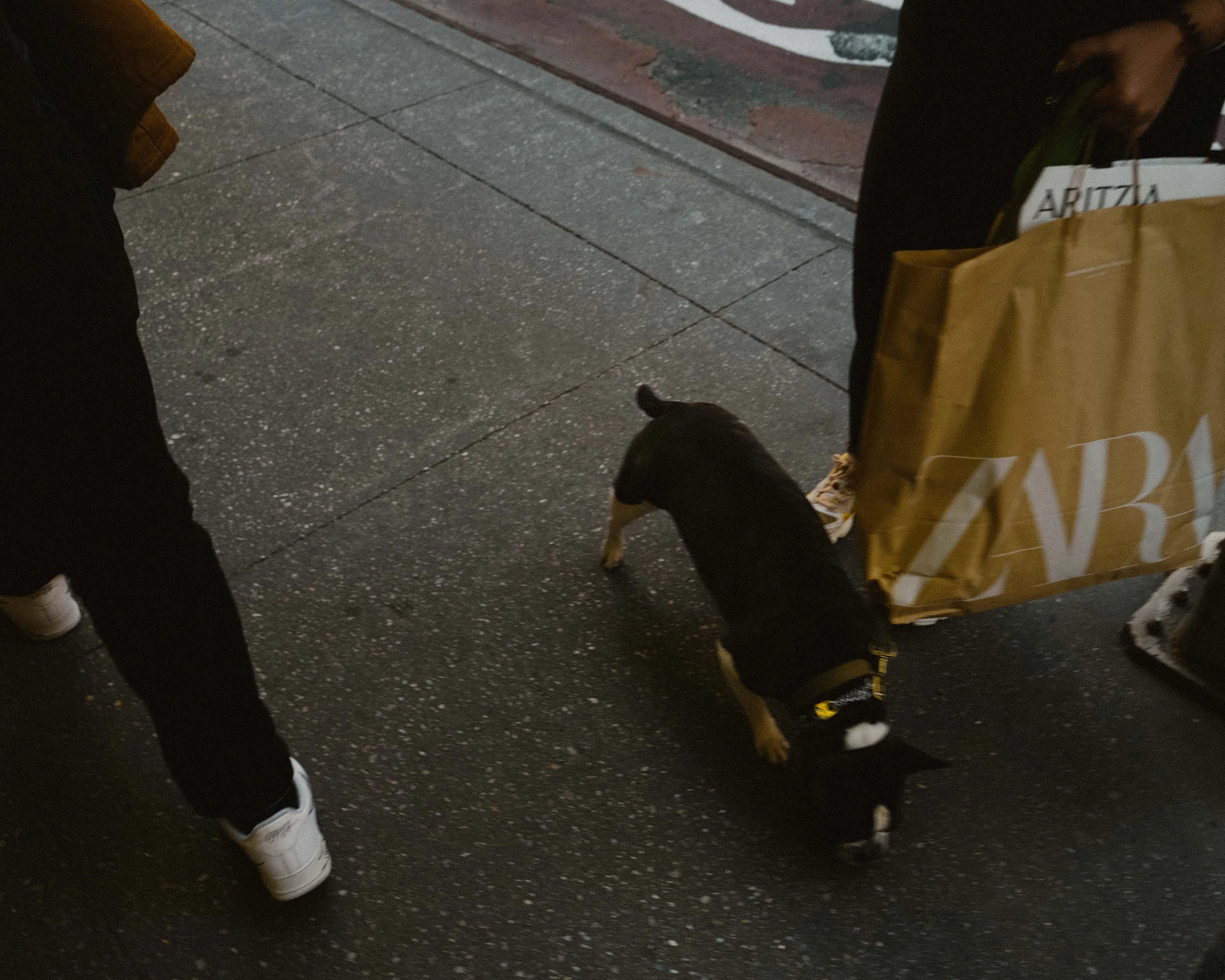 L1080845.jpg