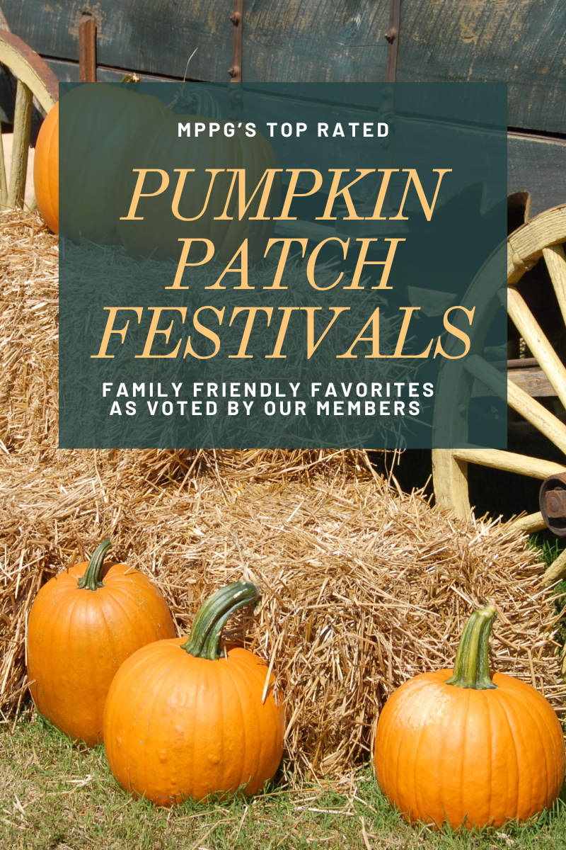 Pumpkins and hay bales outdoors, promoting a pumpkin patch festival.