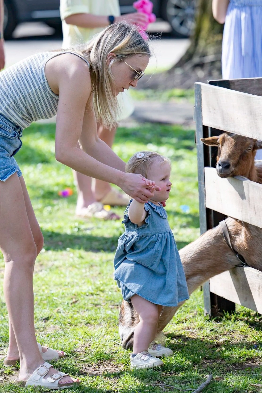 A woman and a young girl at a petting zoo, feeding a small goat through a wooden fence on a sunny day.
