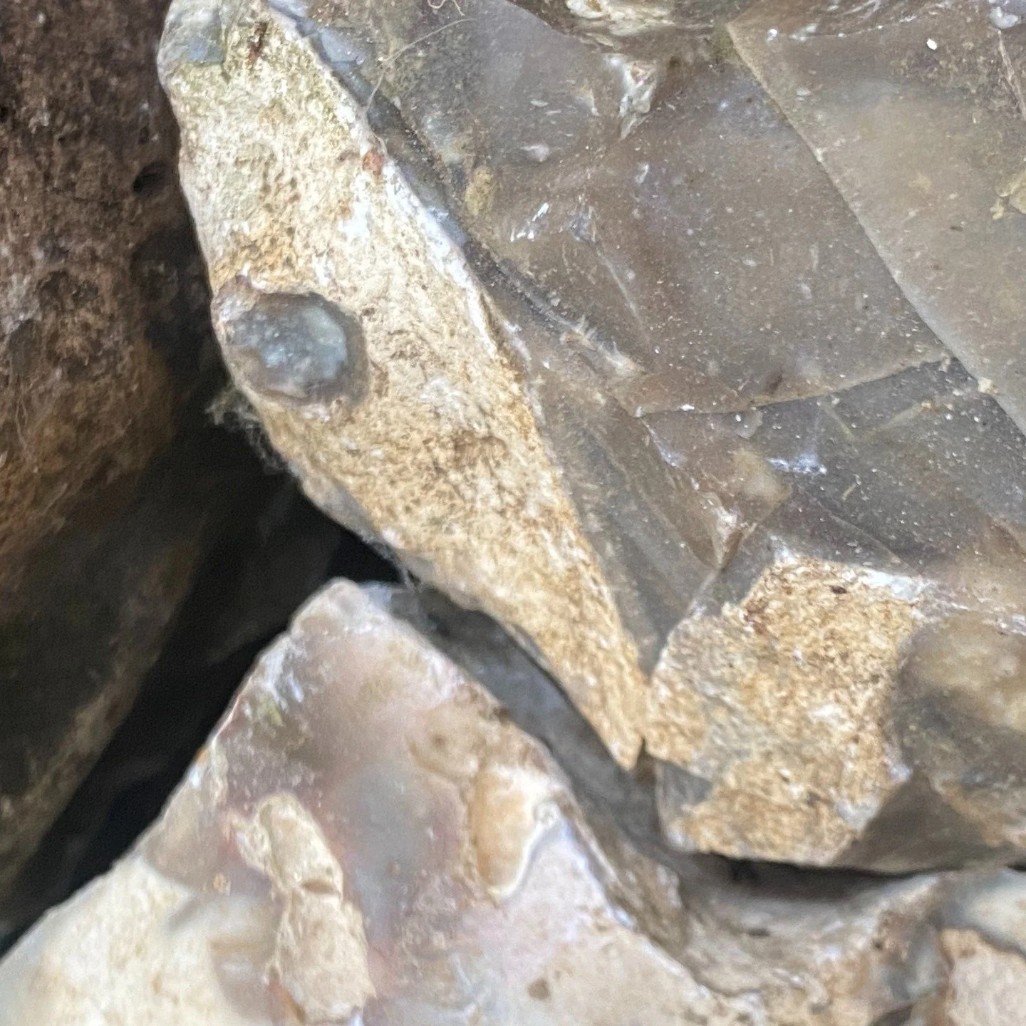 Antler and Stone
Two of the most significant materials for our ancestors from the earliest times humans began using materials as tools over 3 million years ago. Up until approximately 5000 years ago, when, at least in the Middle East, copper and bron