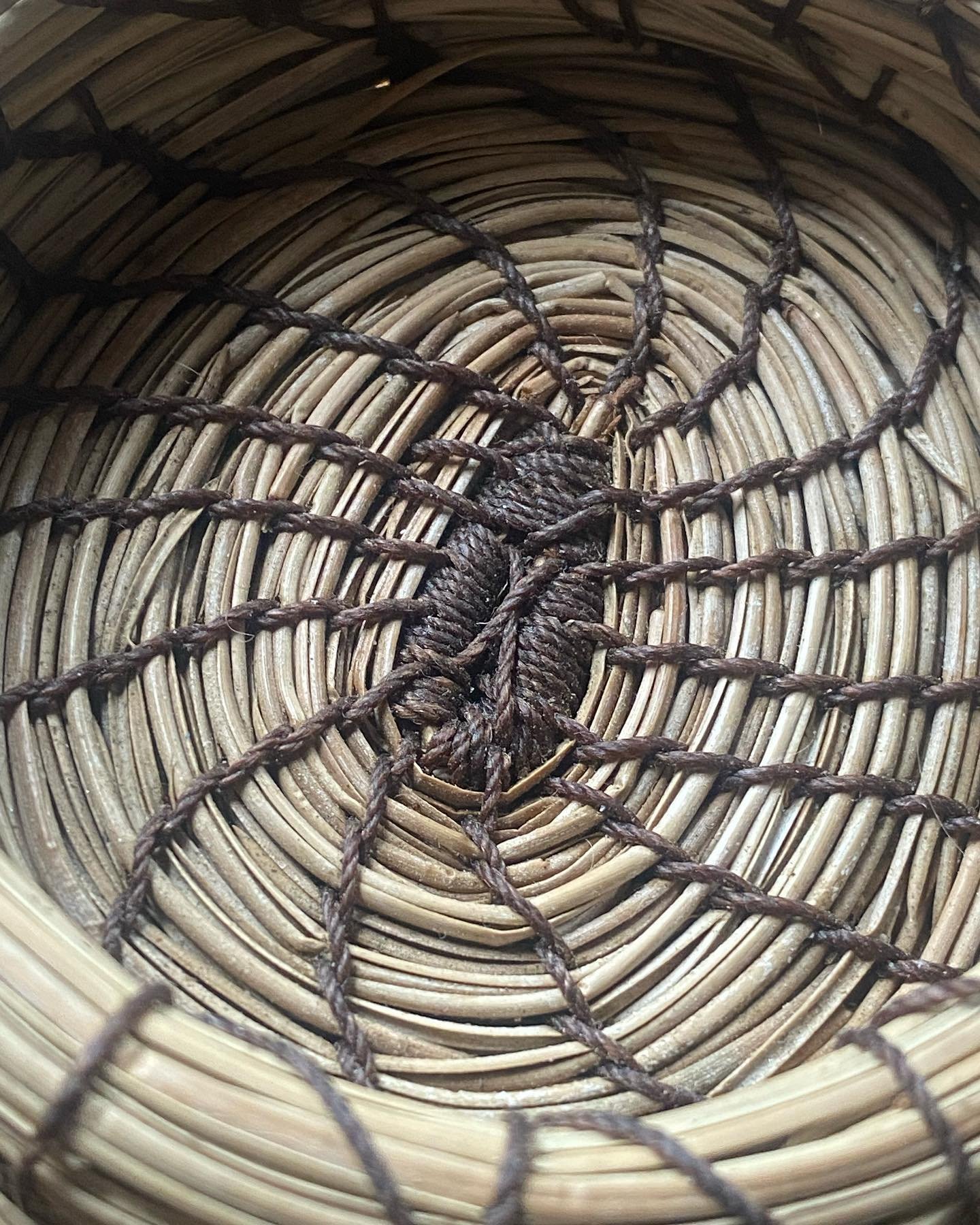 Ponderosa Pine needle coil basketry.

#basketry #coilbasketry #pine #pineneedle #ponderosapine
