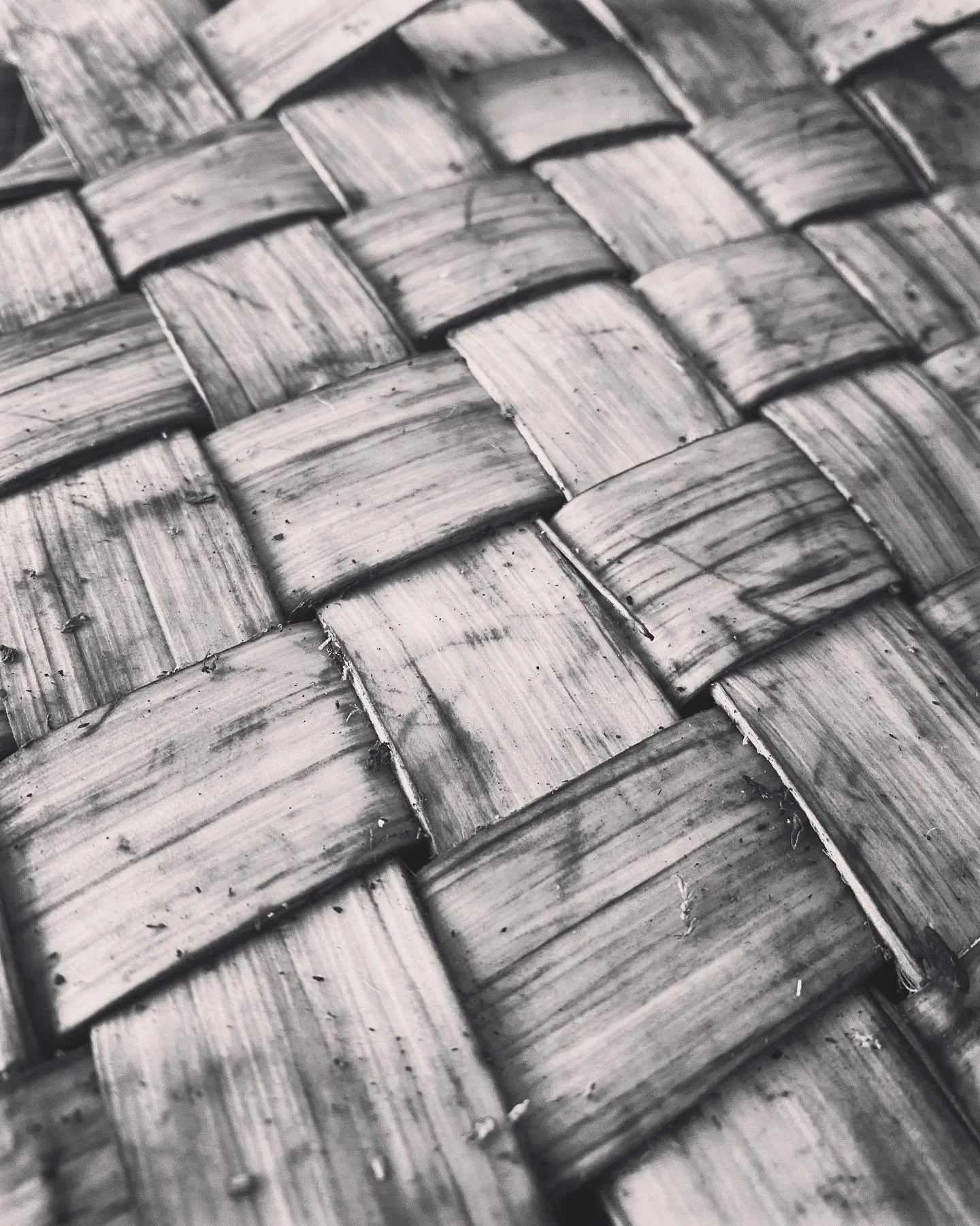 My talk at the Bushcraft Show will be called &ldquo;Foraging PhDs through Bushcraft&rdquo;. 

For the last couple of days I have been foraging bark from various species and weaving them together. 

The act of foraging includes so much, from local sea