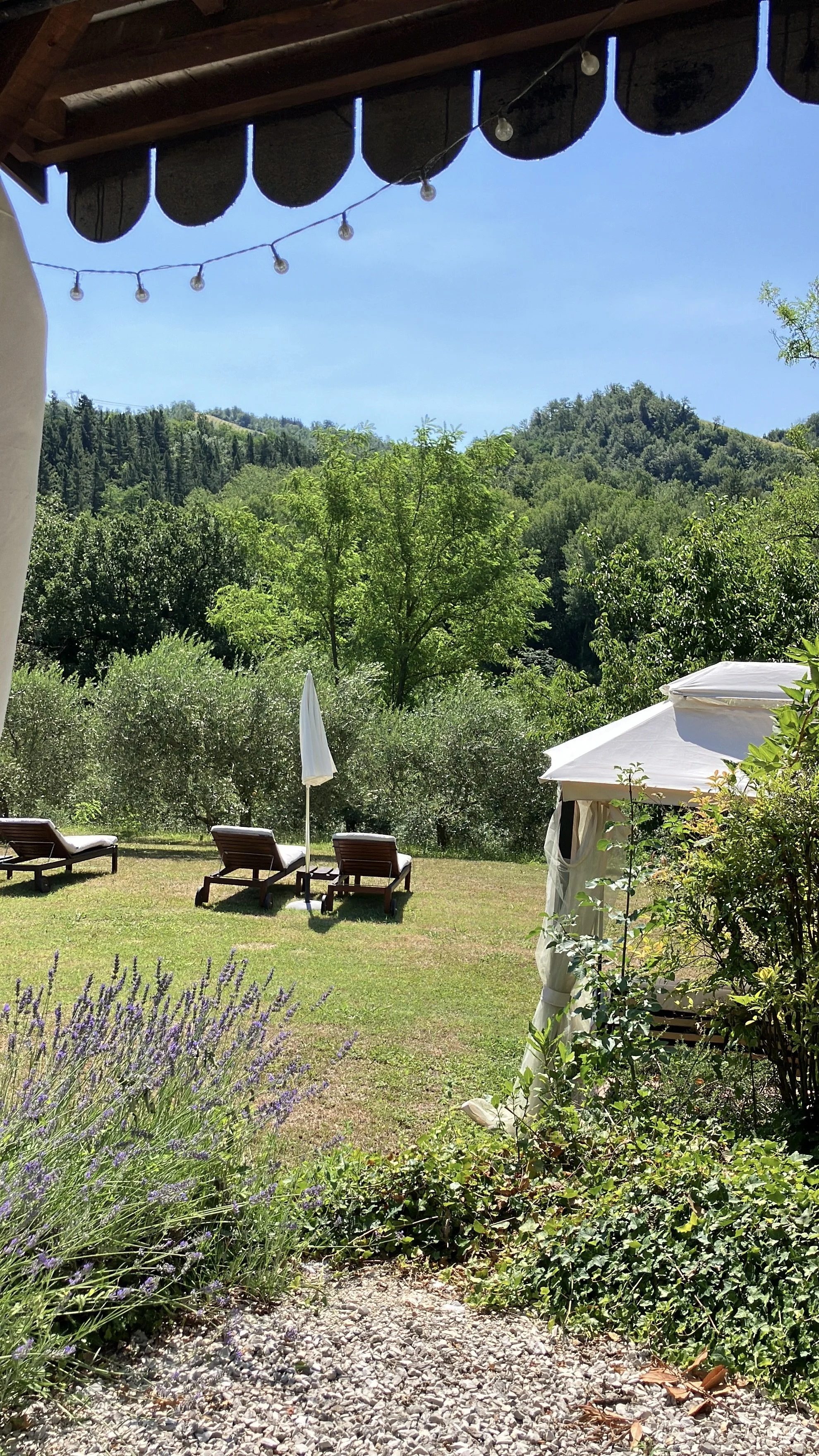 A scenic outdoor patio area with three lounge chairs, a white umbrella, and a cabana tent, surrounded by lush greenery and purple flowers, with mountains and trees in the background under a clear blue sky.
