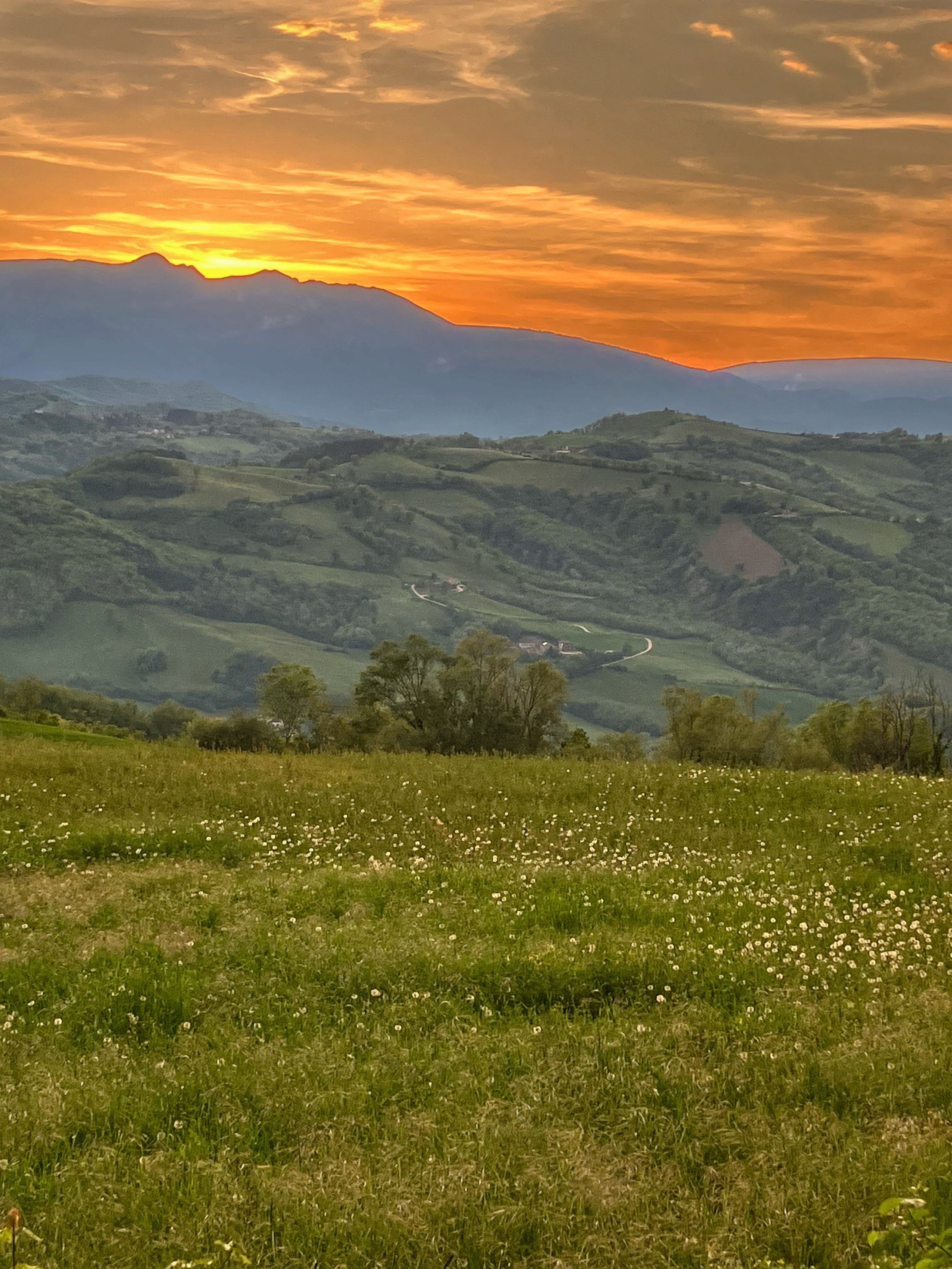 IMG_0580.jpeg