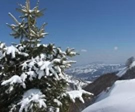 IMG_5294.jpeg