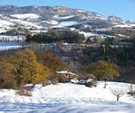 IMG_5296.jpeg