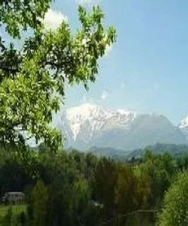 IMG_5286.jpeg