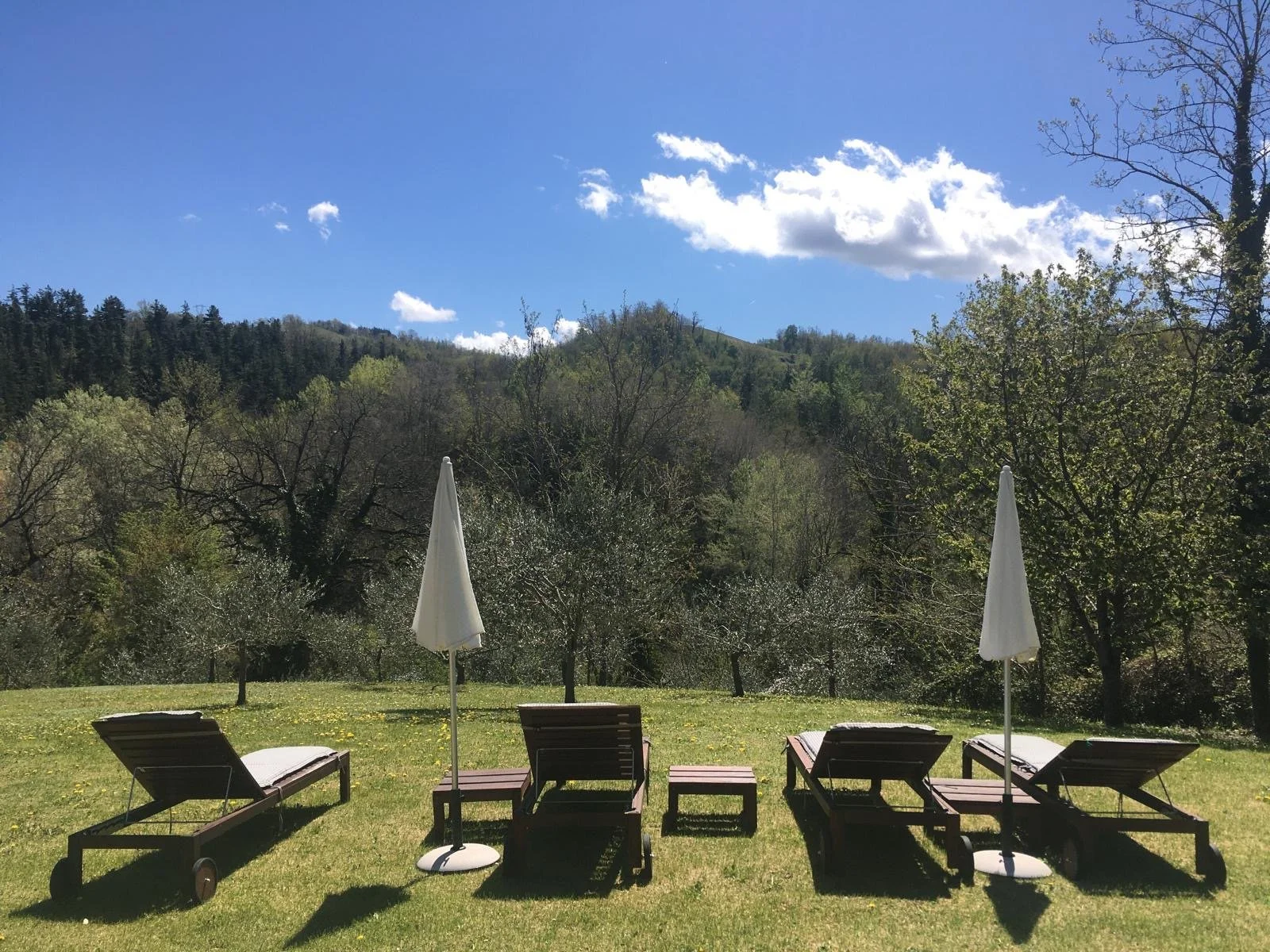 The lovely Hideaway garden with plenty of space for relaxing and beautiful views across the olive grove and valley.