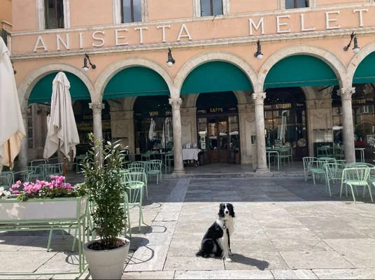 Meletti Cafe in Ascoli Piceno For A Treat, People Watching & Apperitivo