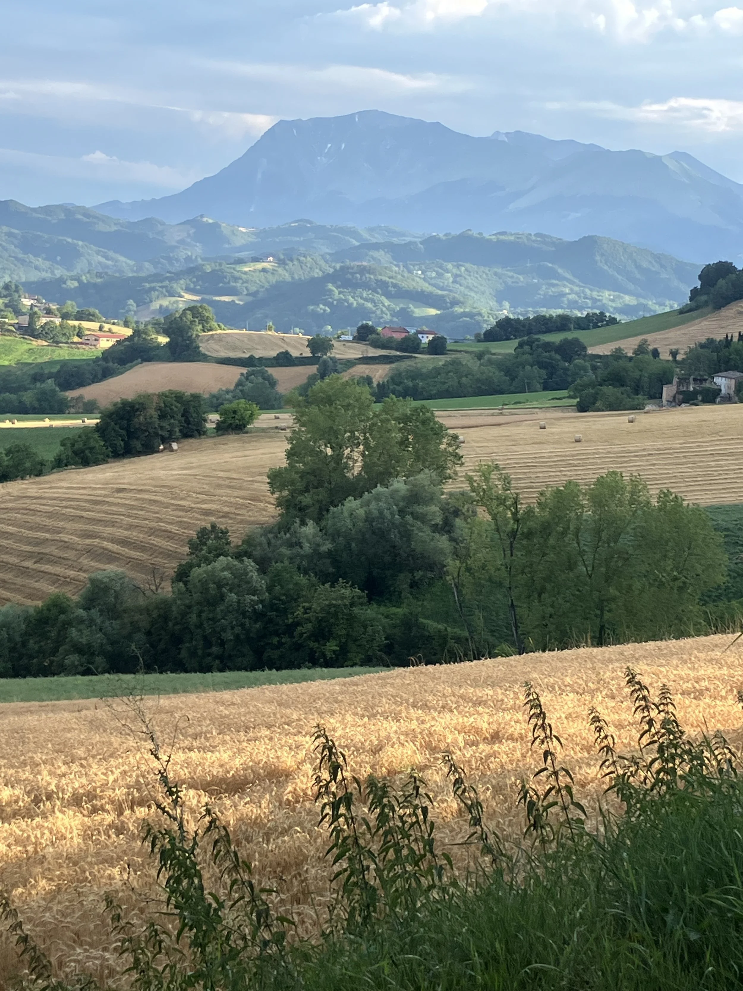 Scenic landscape with rolling green hills, scattered farms, and a mountain in the background under a cloudy sky.