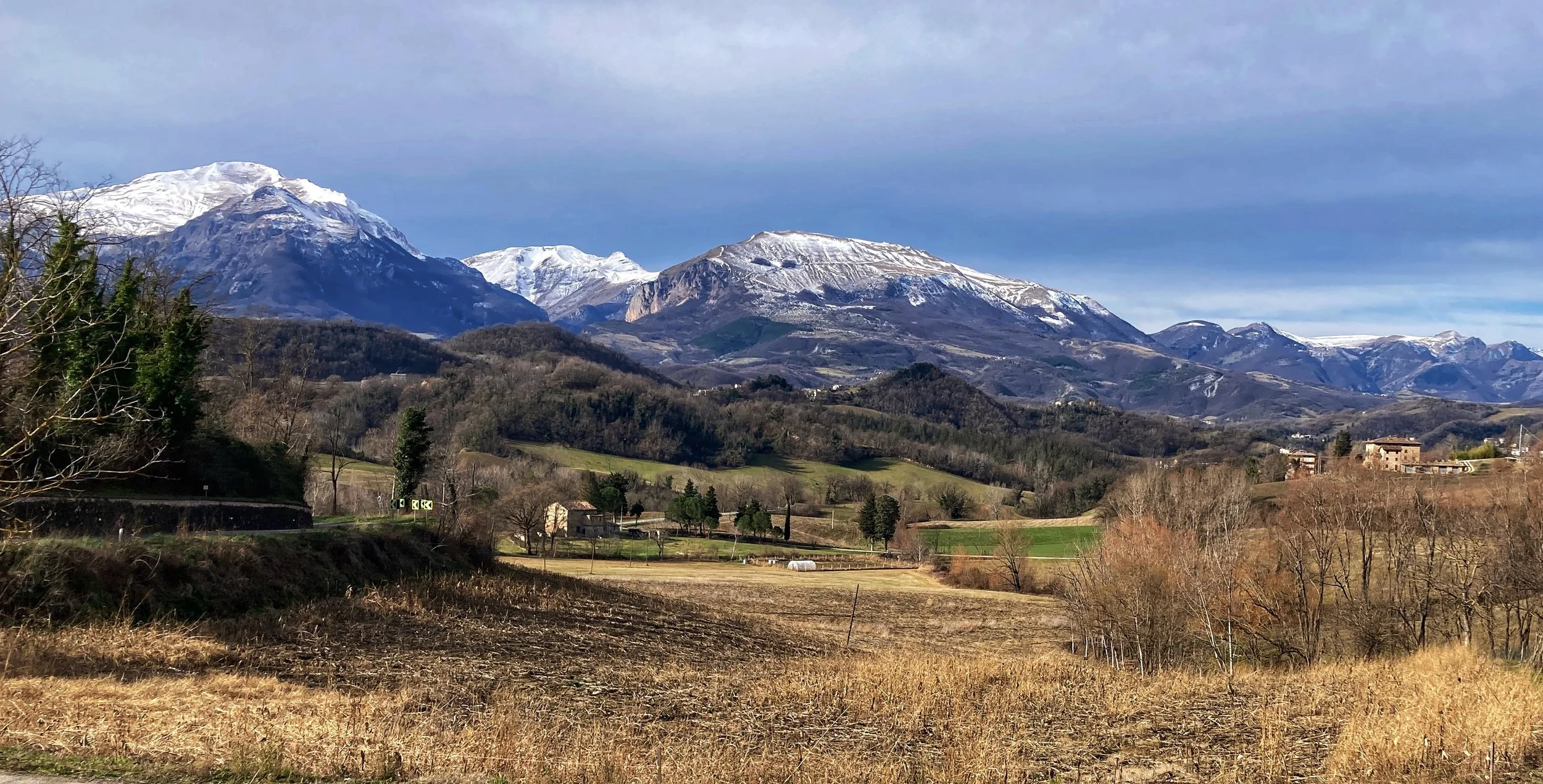 Landscape of snow-capped mountains with green fields and trees in the foreground under a partly cloudy sky.