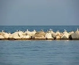 IMG_5297.jpeg