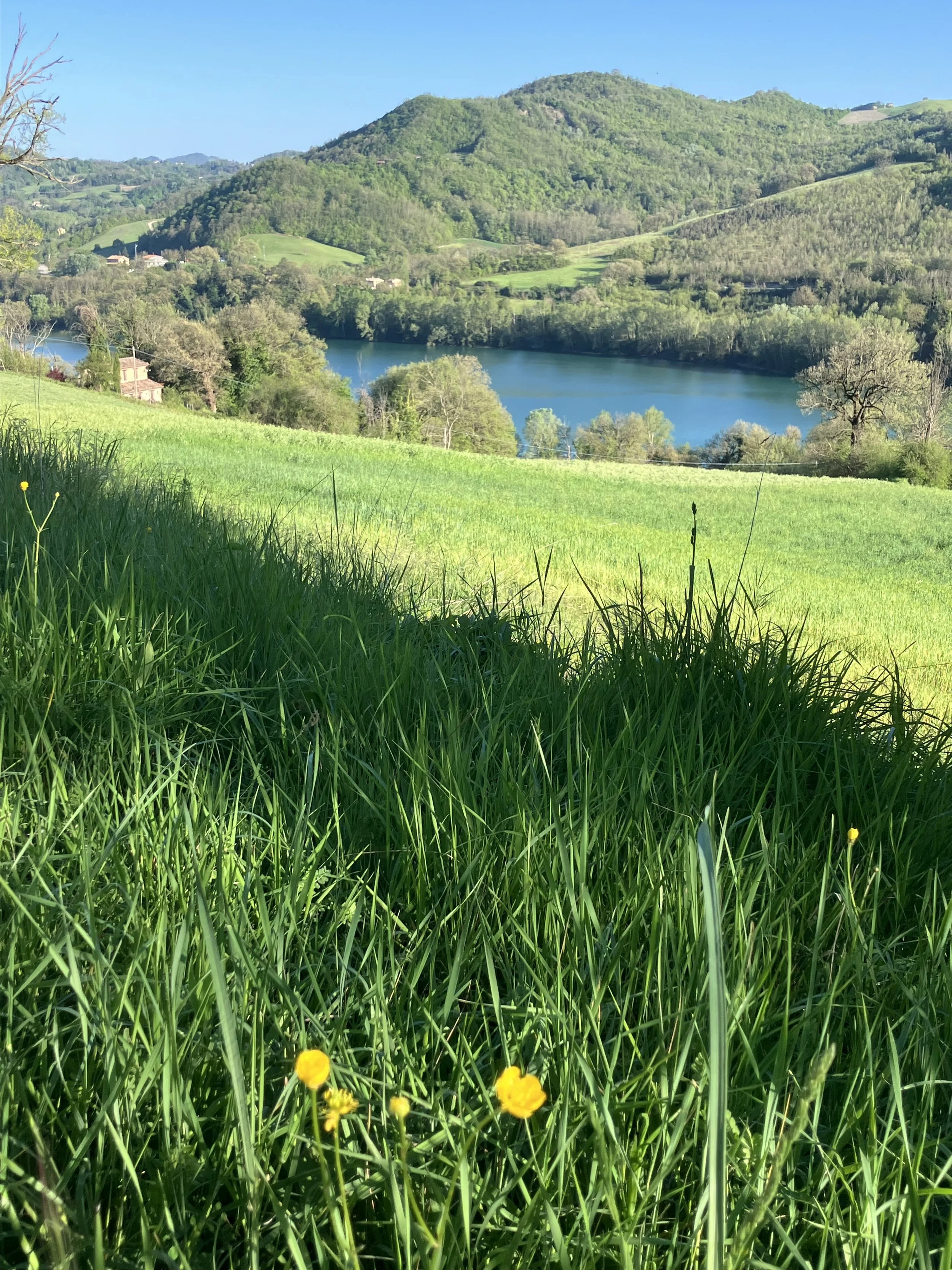 IMG_0443.jpeg
