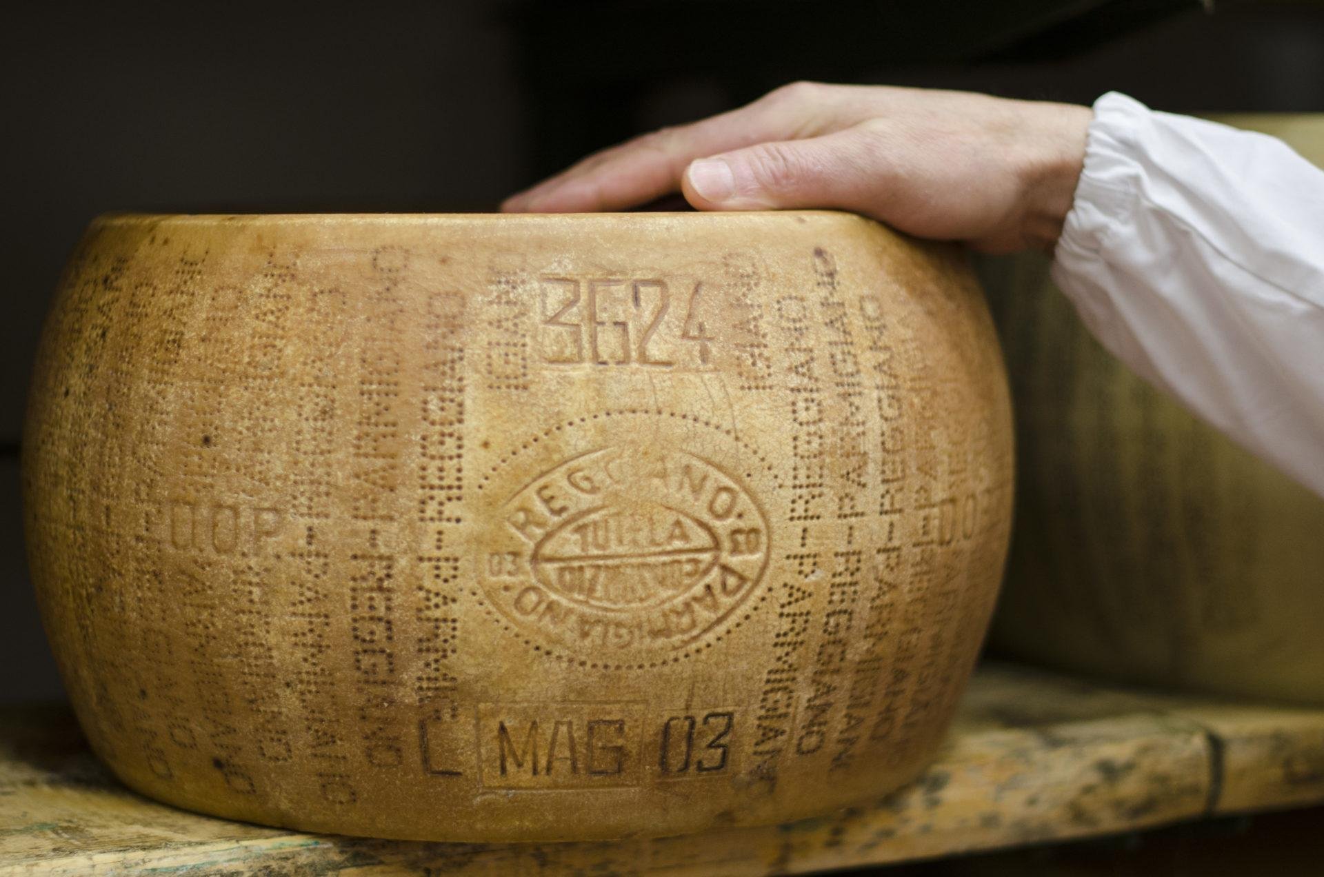A close-up of a wheel of aged Parmesan cheese with a person's hand resting on the top, wearing a white sleeve.