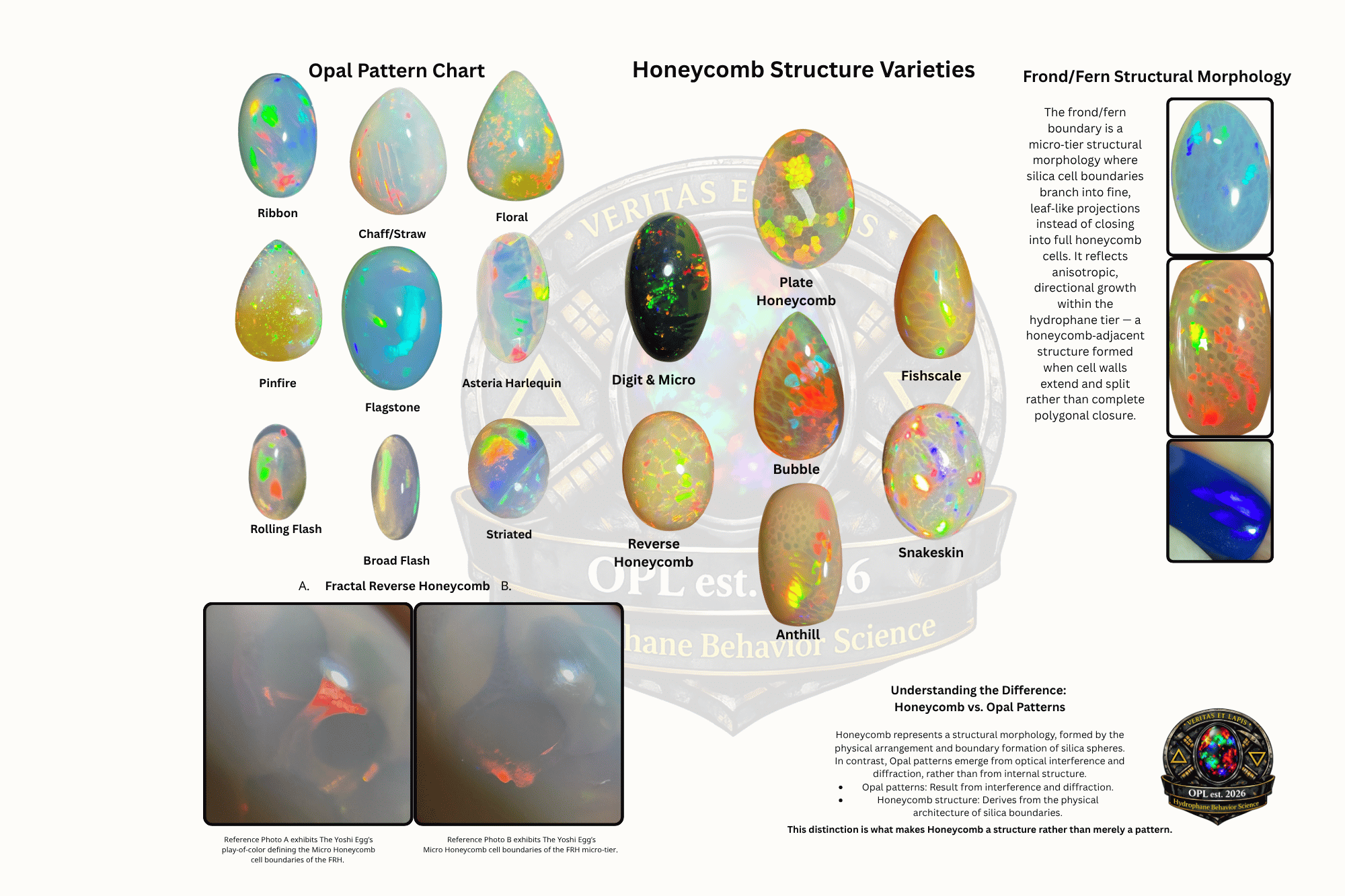 Opal Pattern Classification & Honeycomb Structural Morphology Chart – OPLscience Poster Edition