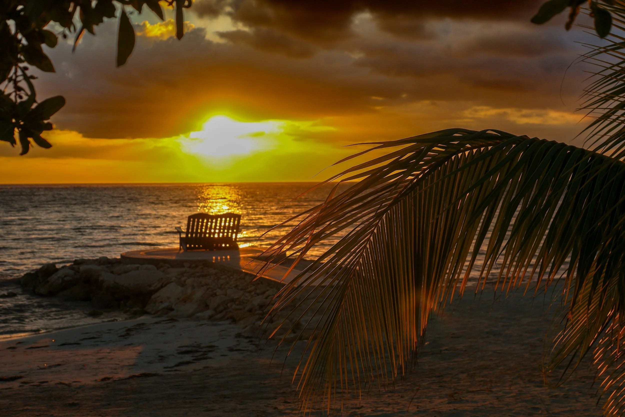 Tropical beach at sunset with palm trees overlooking the ocean.