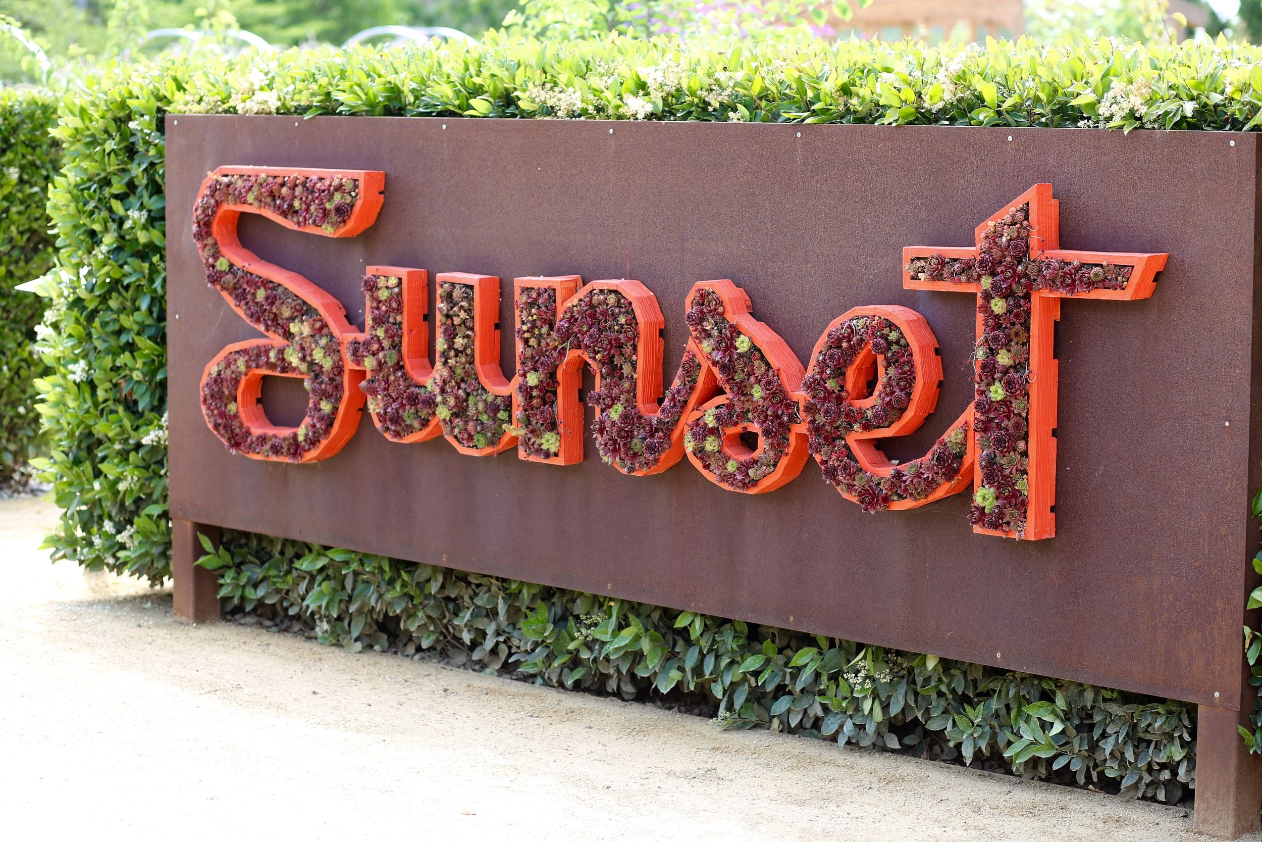 A sign with the word ''Sushi'' in large letters filled with colorful succulents, mounted on a rust-colored background, surrounded by green hedges and plants.