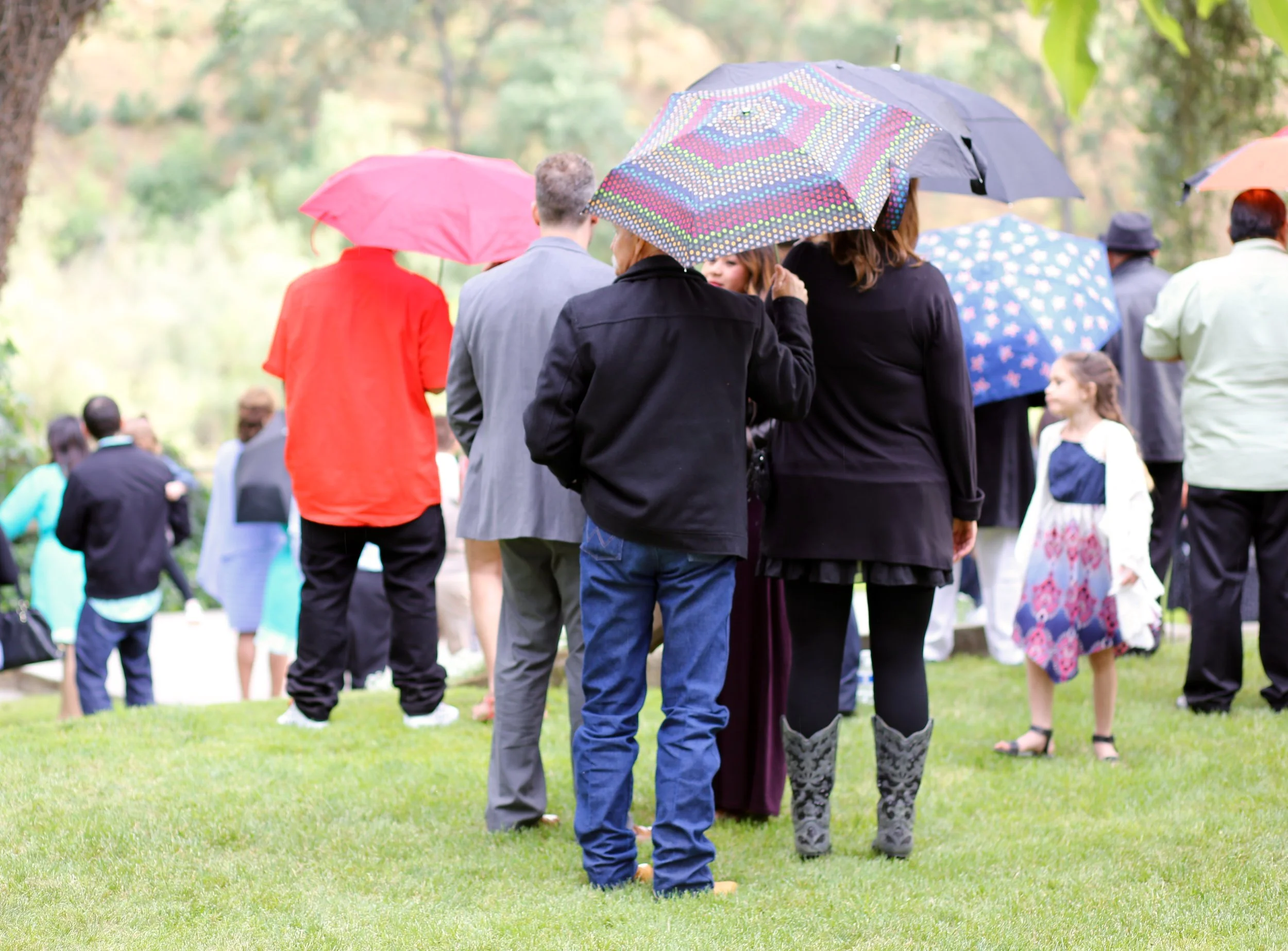 Group of people gathered outdoors under umbrellas, standing on grass in a park or garden with trees in the background.