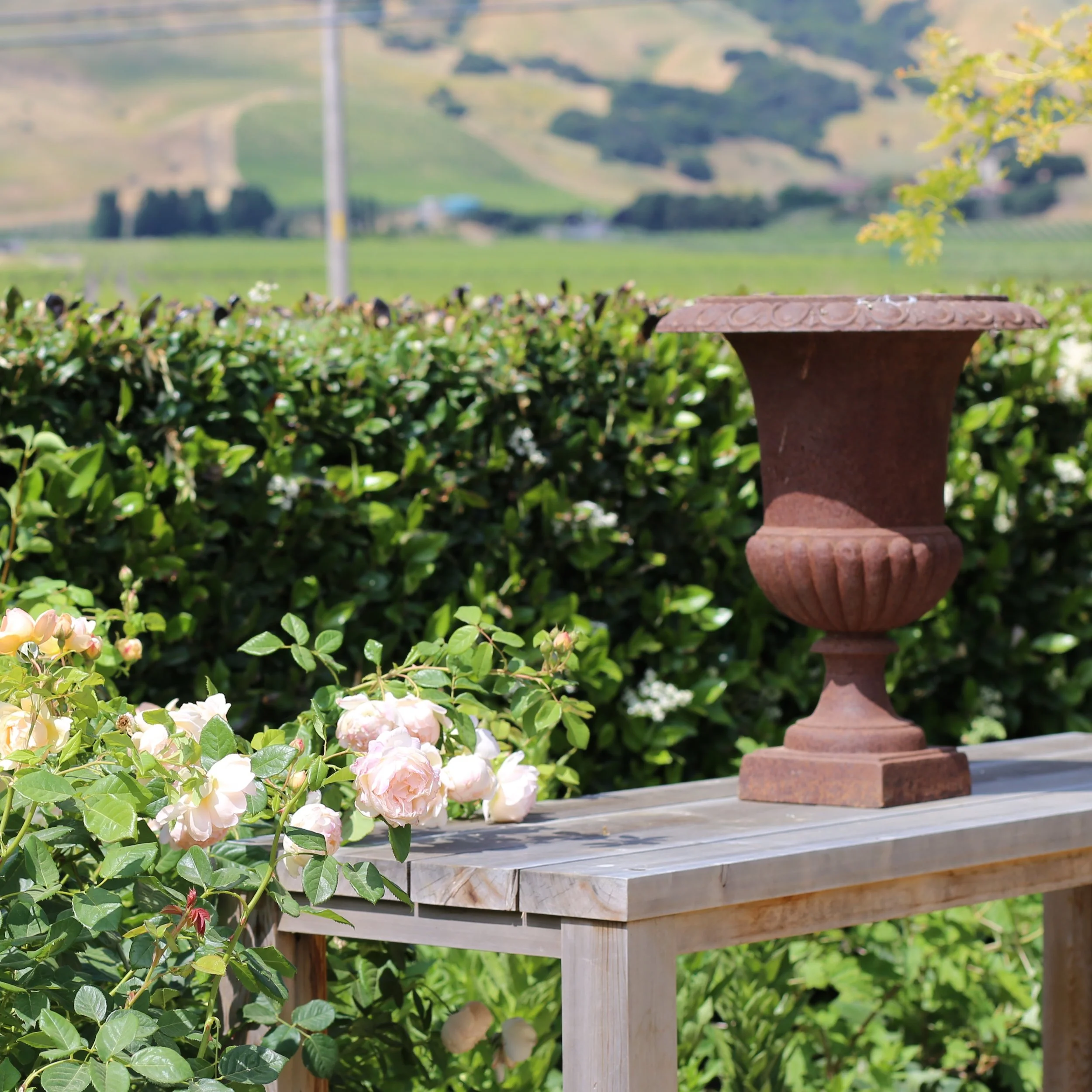 A clay flower pot on a wooden table with green bushes and pink and white flowers in the background, and rolling hills in the distance.