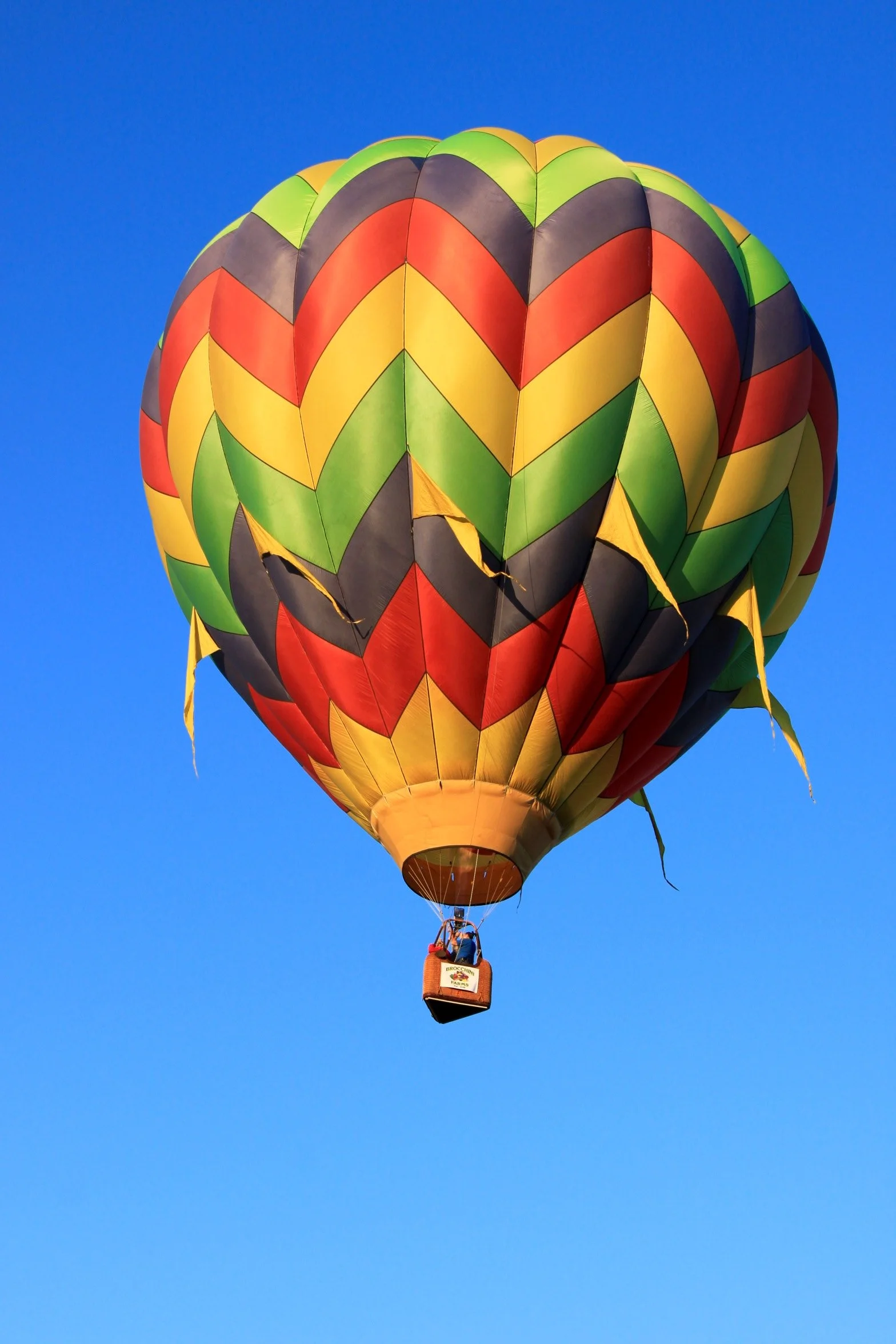 Colorful hot air balloon flying in a clear blue sky with two passengers inside the basket.