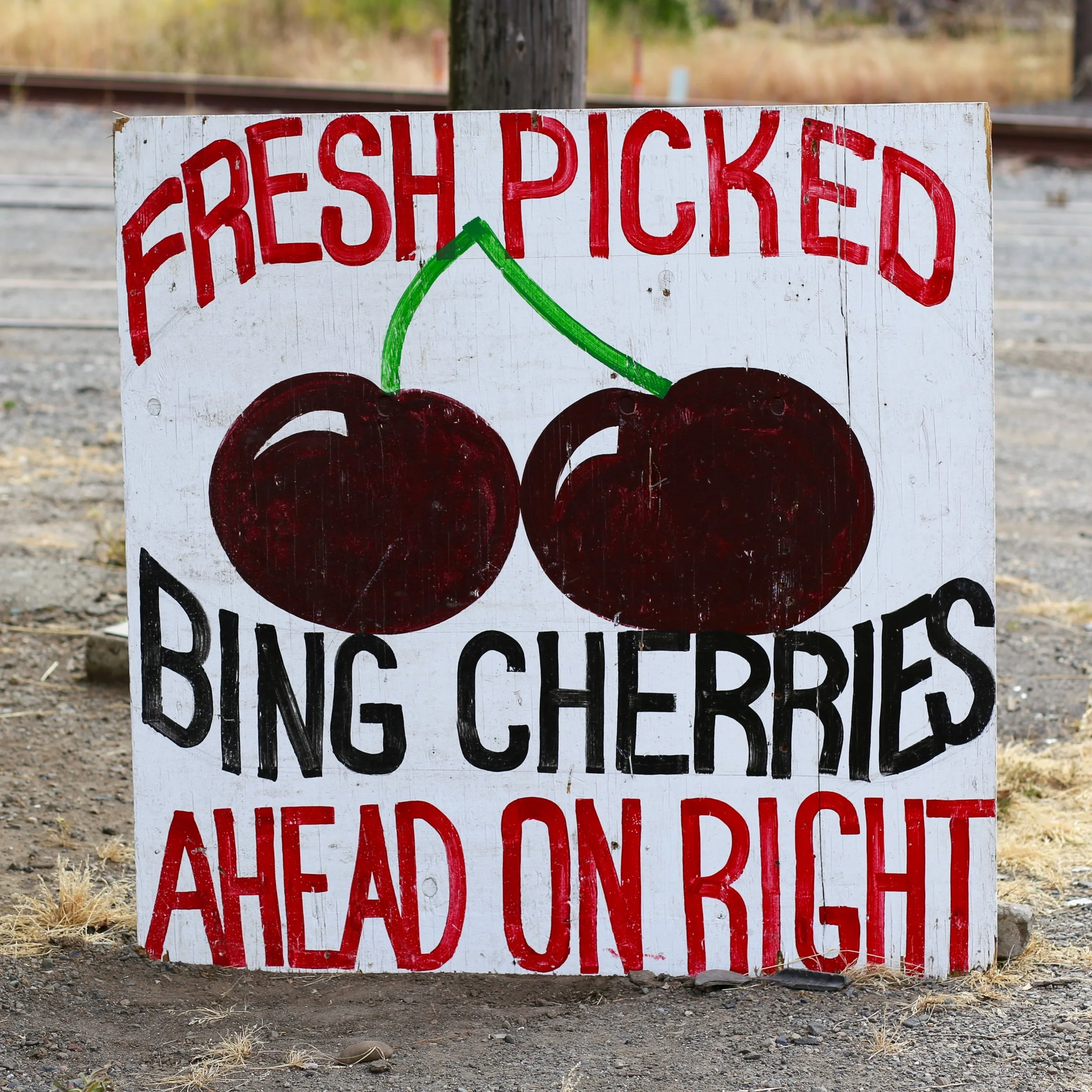A warning sign on a railroad track says 'FRESCH PICKED' and 'DANGEROUS' with an illustration of cherries and warning symbols, indicating caution for picking cherries near the tracks.