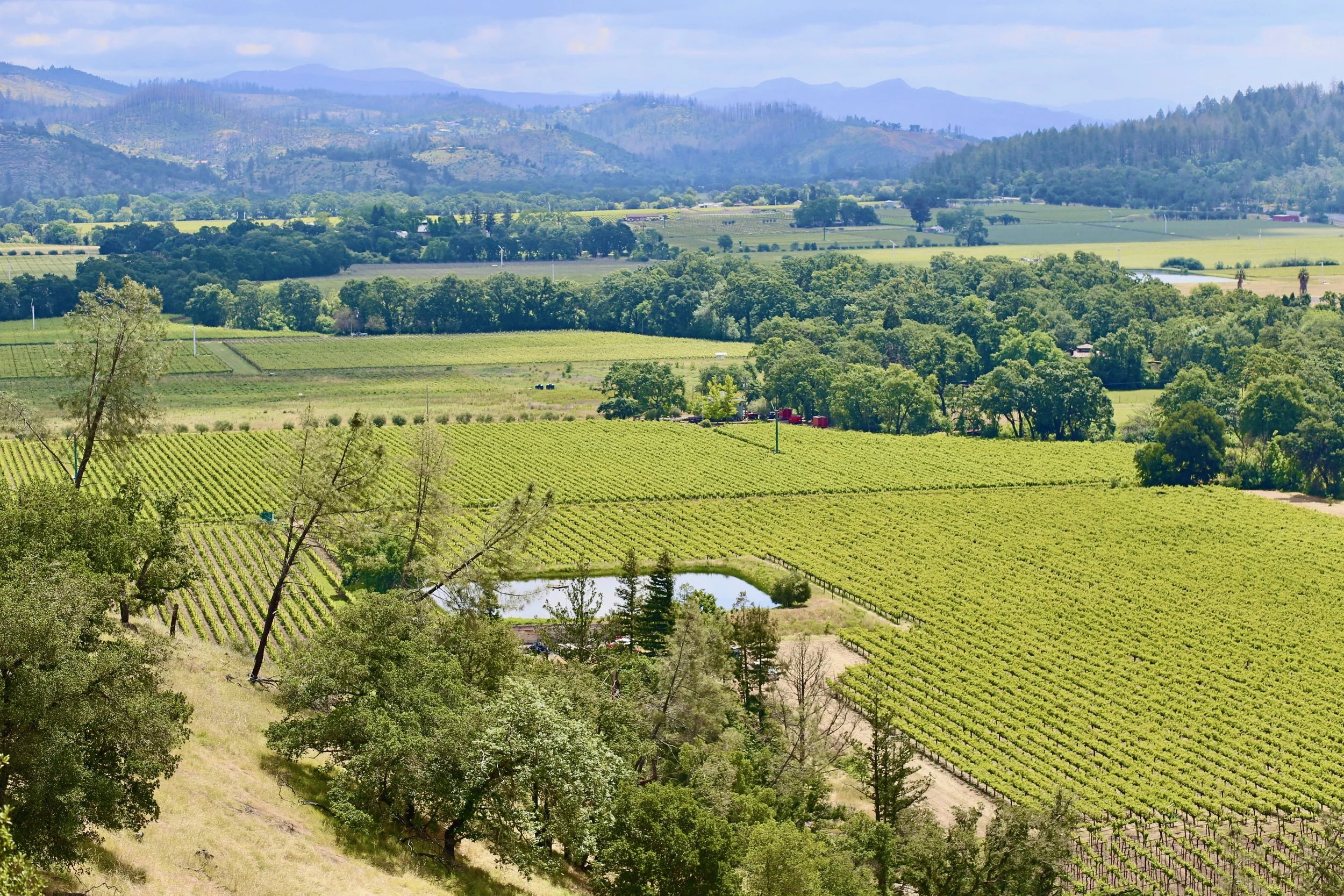 A sprawling landscape of green vineyards, trees, hills, and mountains under a partly cloudy sky.