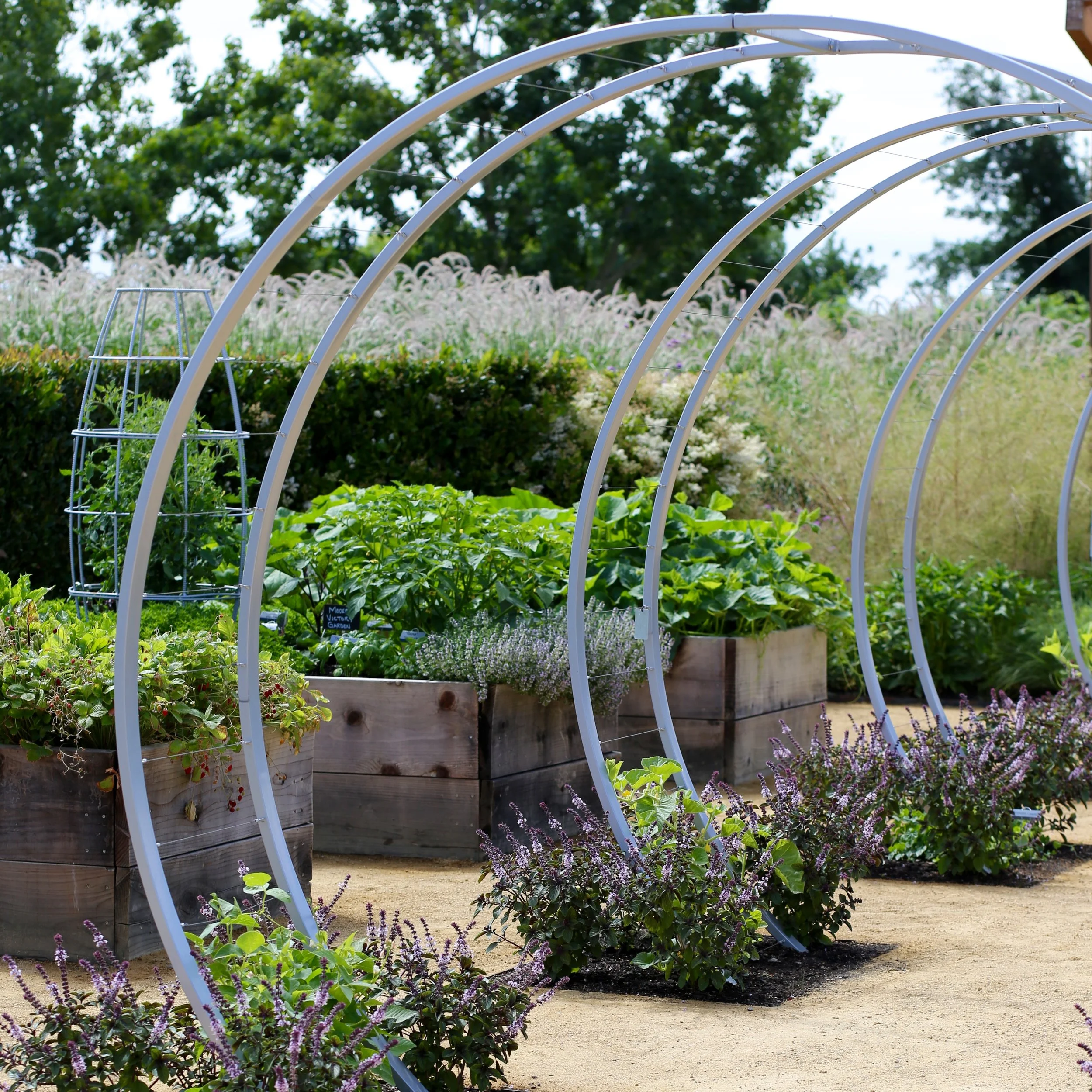 A garden with arched metal plant supports, lush green plants, and various flowering plants with a background of trees and a partly cloudy sky.