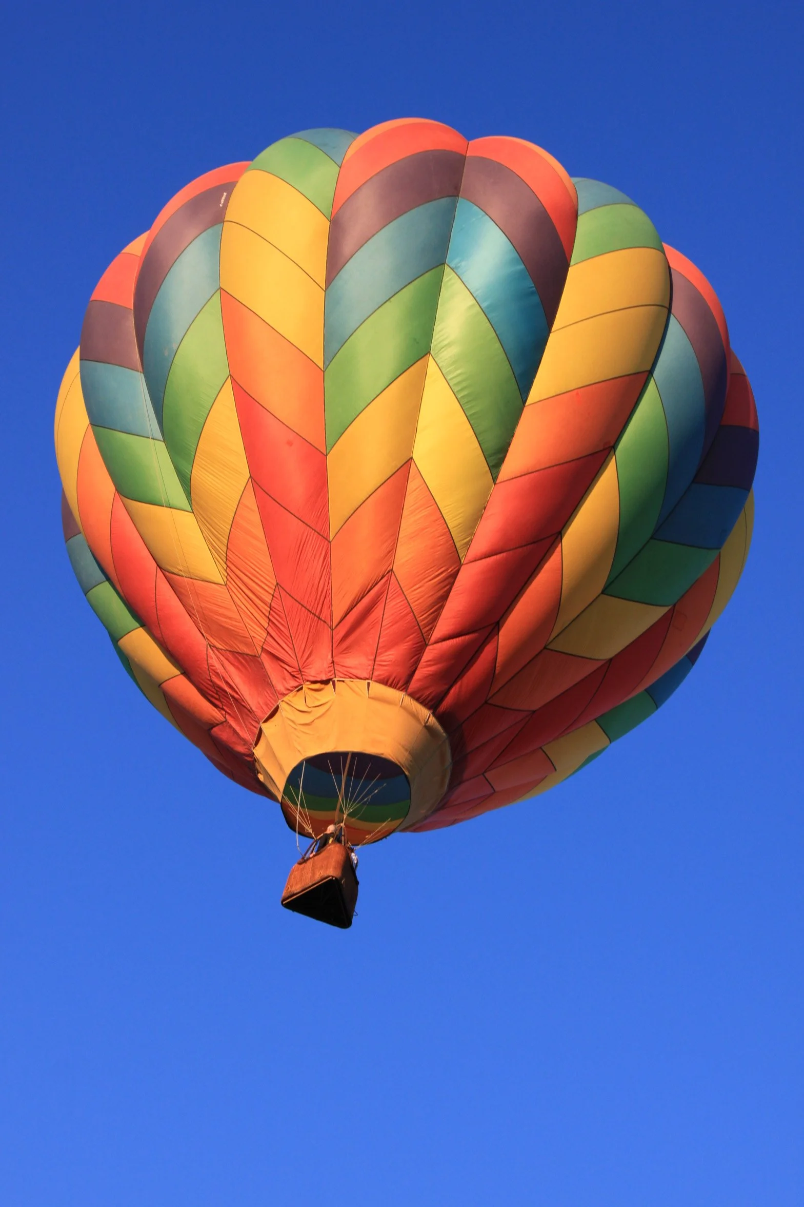 Colorful hot air balloon floating in a clear blue sky over Yountville ca. 