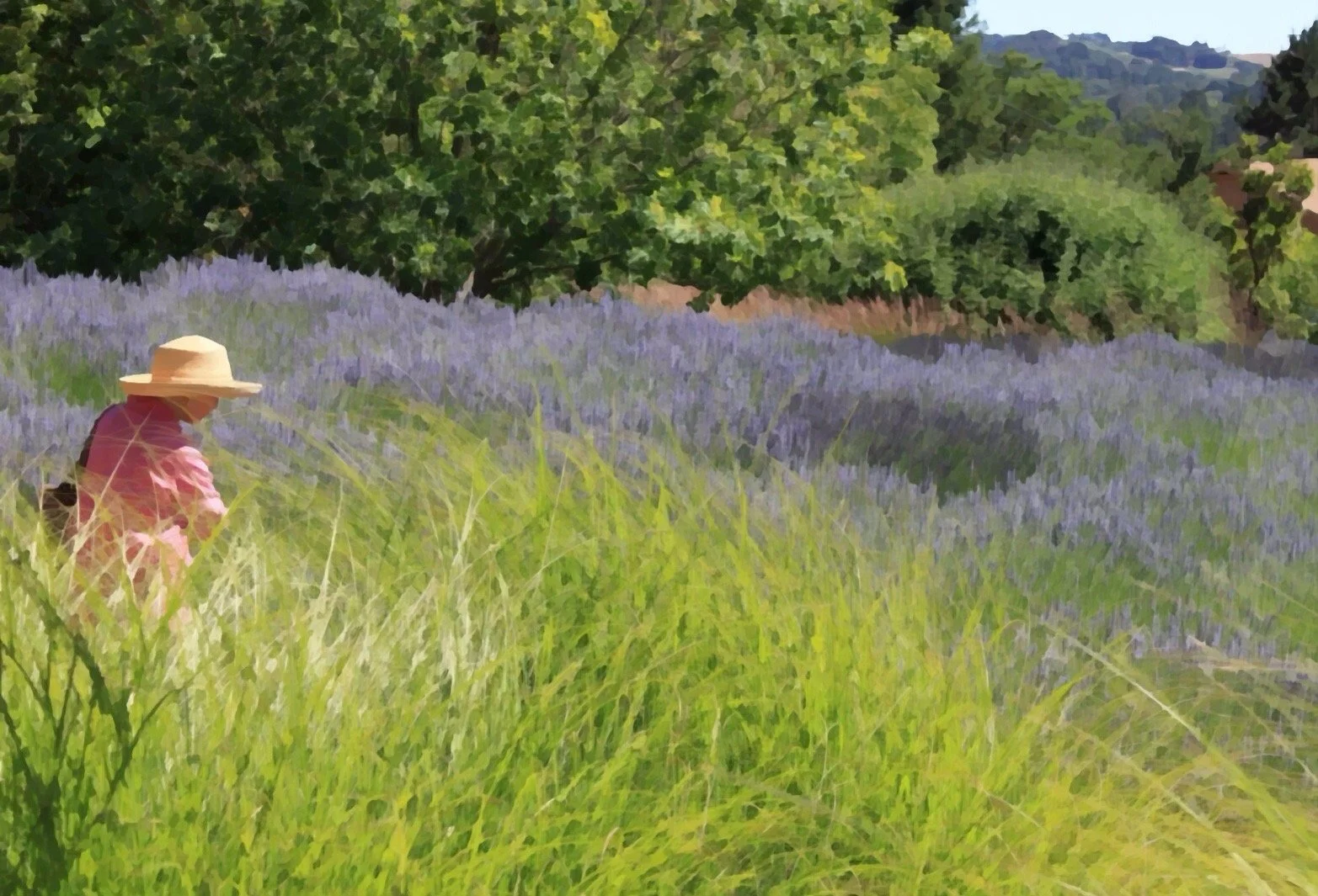 A woman wearing a wide-brimmed hat and pink shirt walking through a field of purple flowers with green trees and hills in the background.