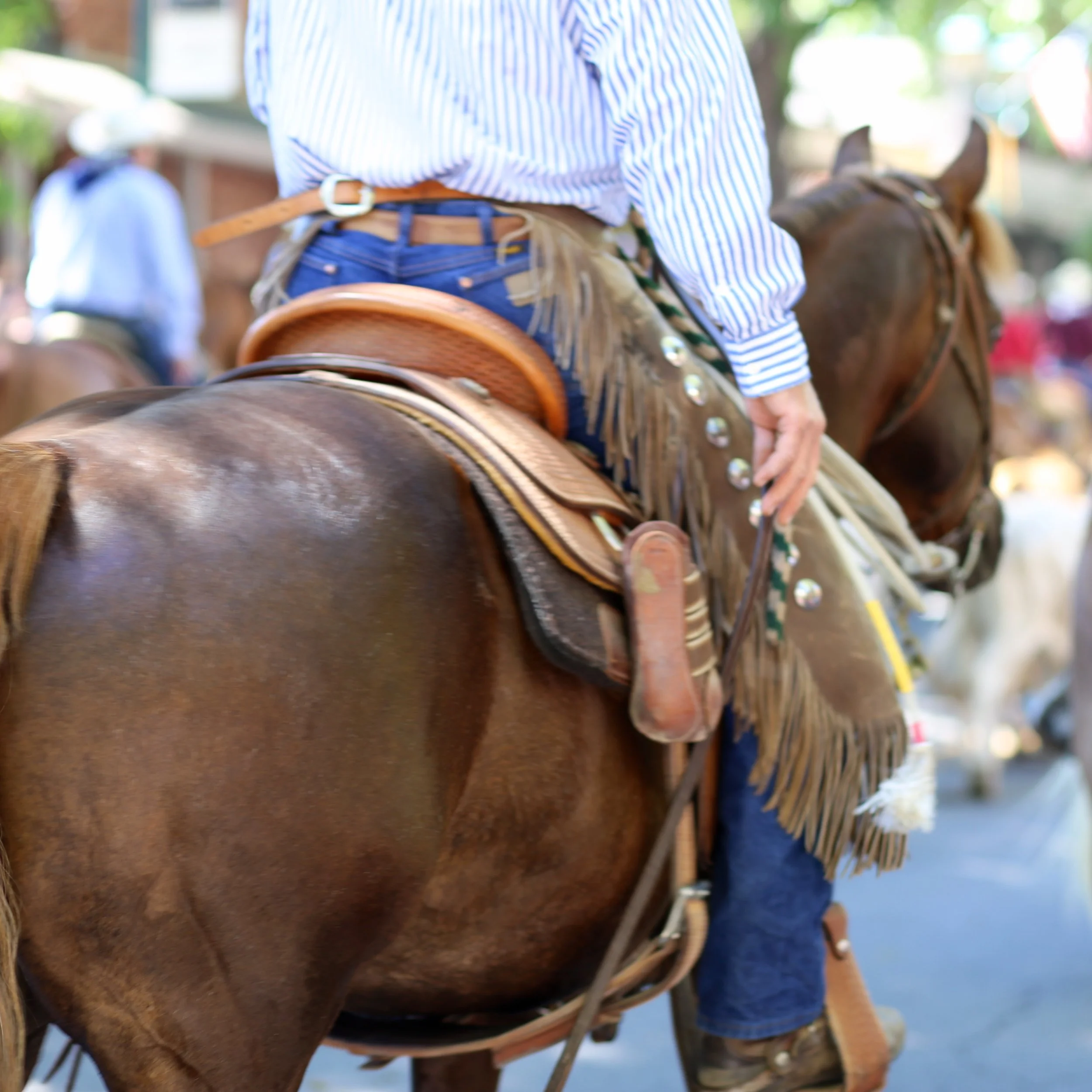 Close-up of a person riding a brown horse, wearing a striped shirt, jeans, and a leather belt, with a saddle on the horse. The background shows blurred greenery and another person and horse.