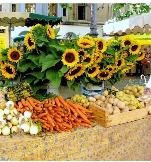 Sunflowers in buckets with carrots, onions, and potatoes at an outdoor farmer's market stall Napa CA formers market