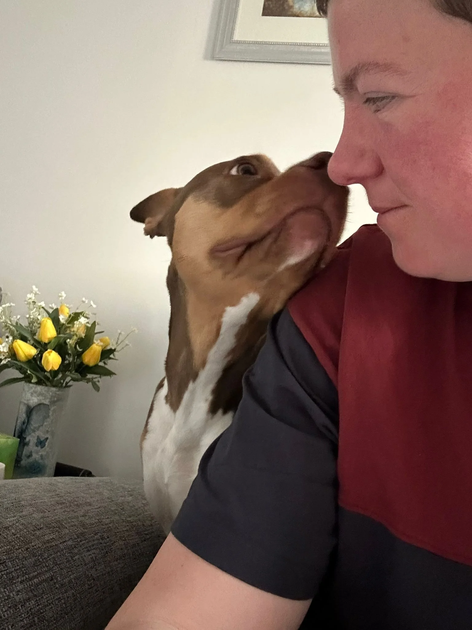 Charlie sharing a close bond with Envy during an overnight pet sitting stay, with Envy gently touching noses with Charlie.