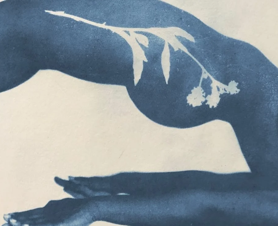 Pilates physio fusion class