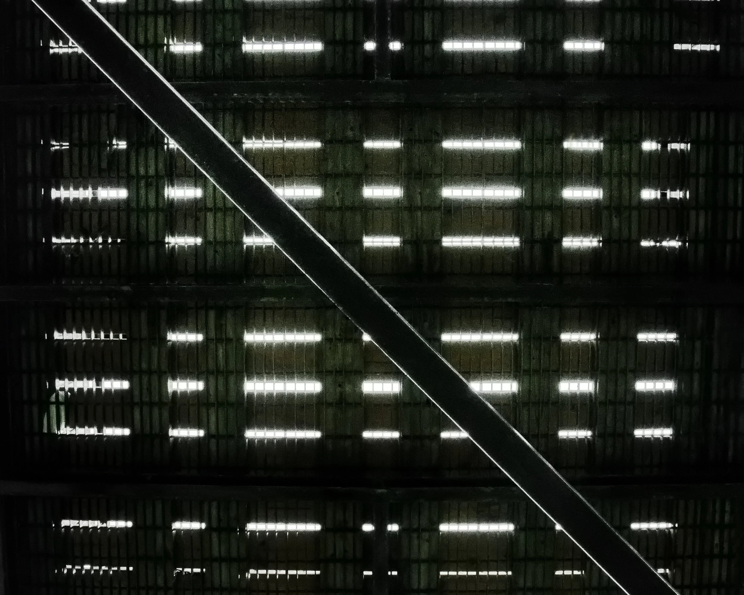 DSC_1820n.jpg