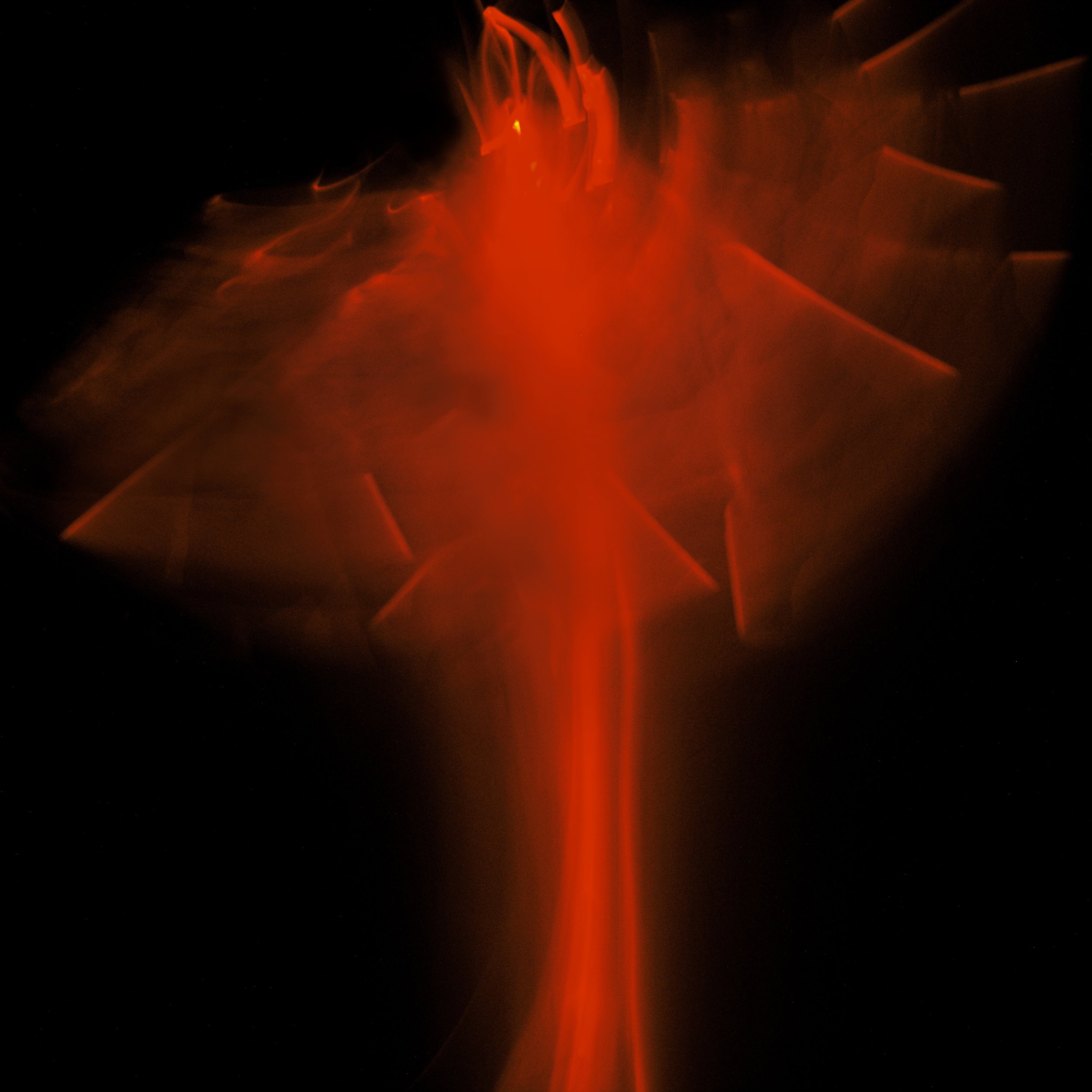 pheonix2.jpg
