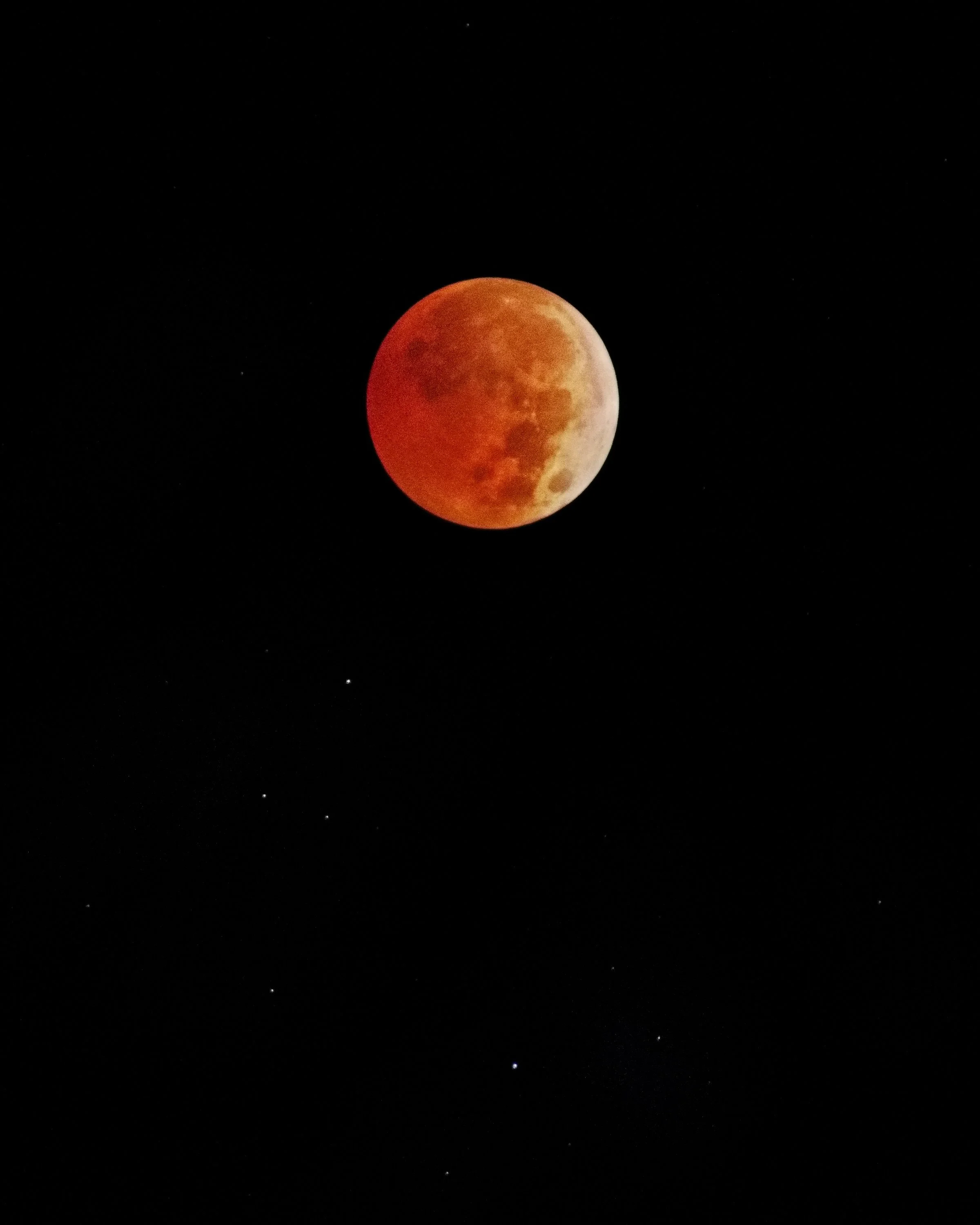 DSC_3619g.jpg