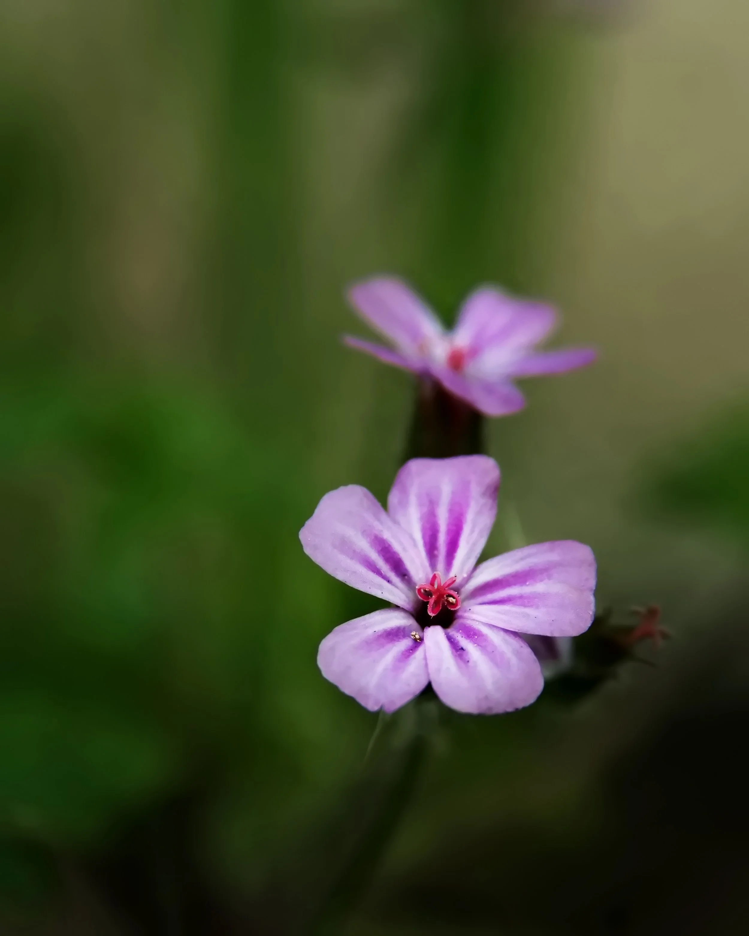 DSC_3941o.jpg