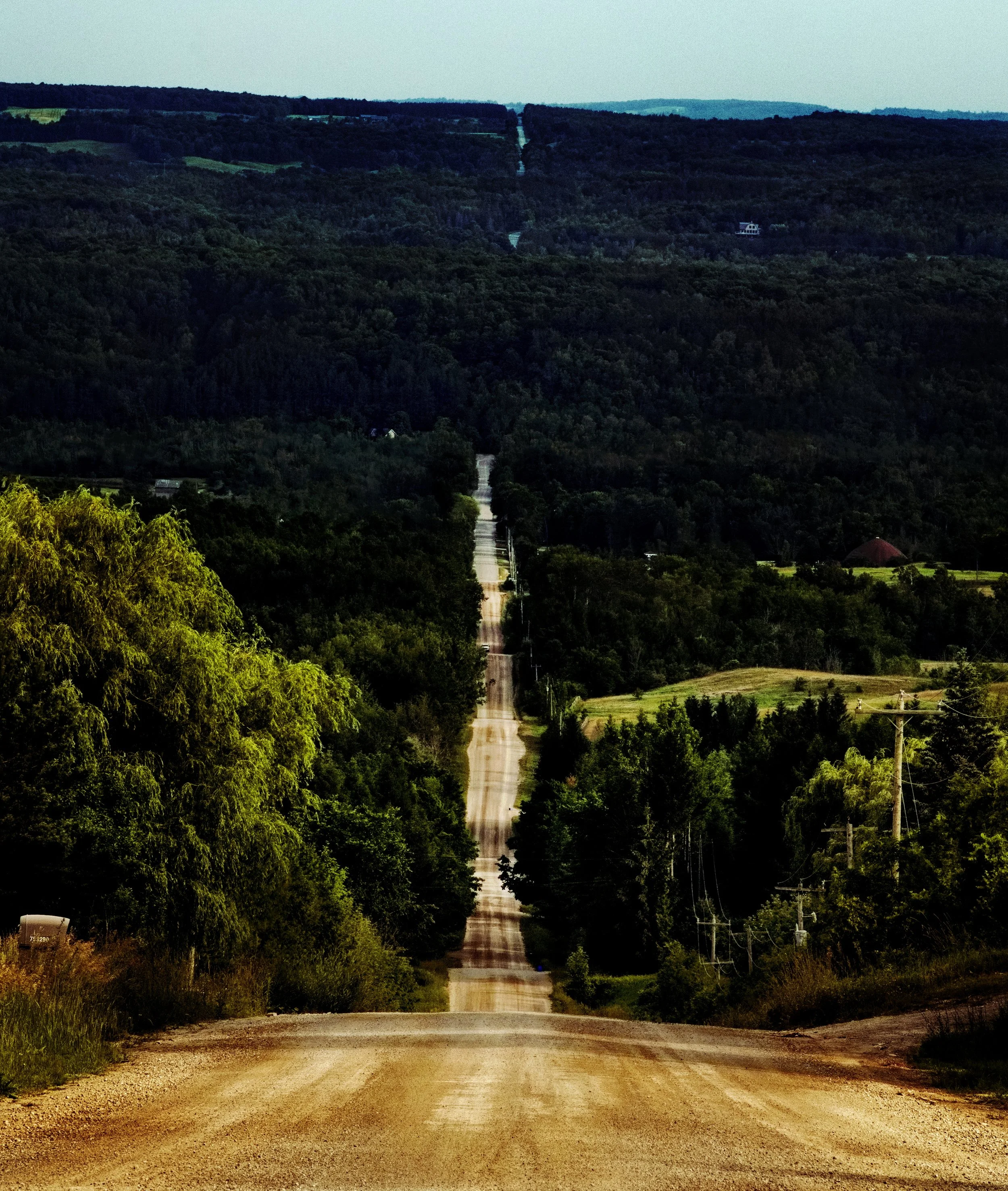 DSC_7978rgd.jpg