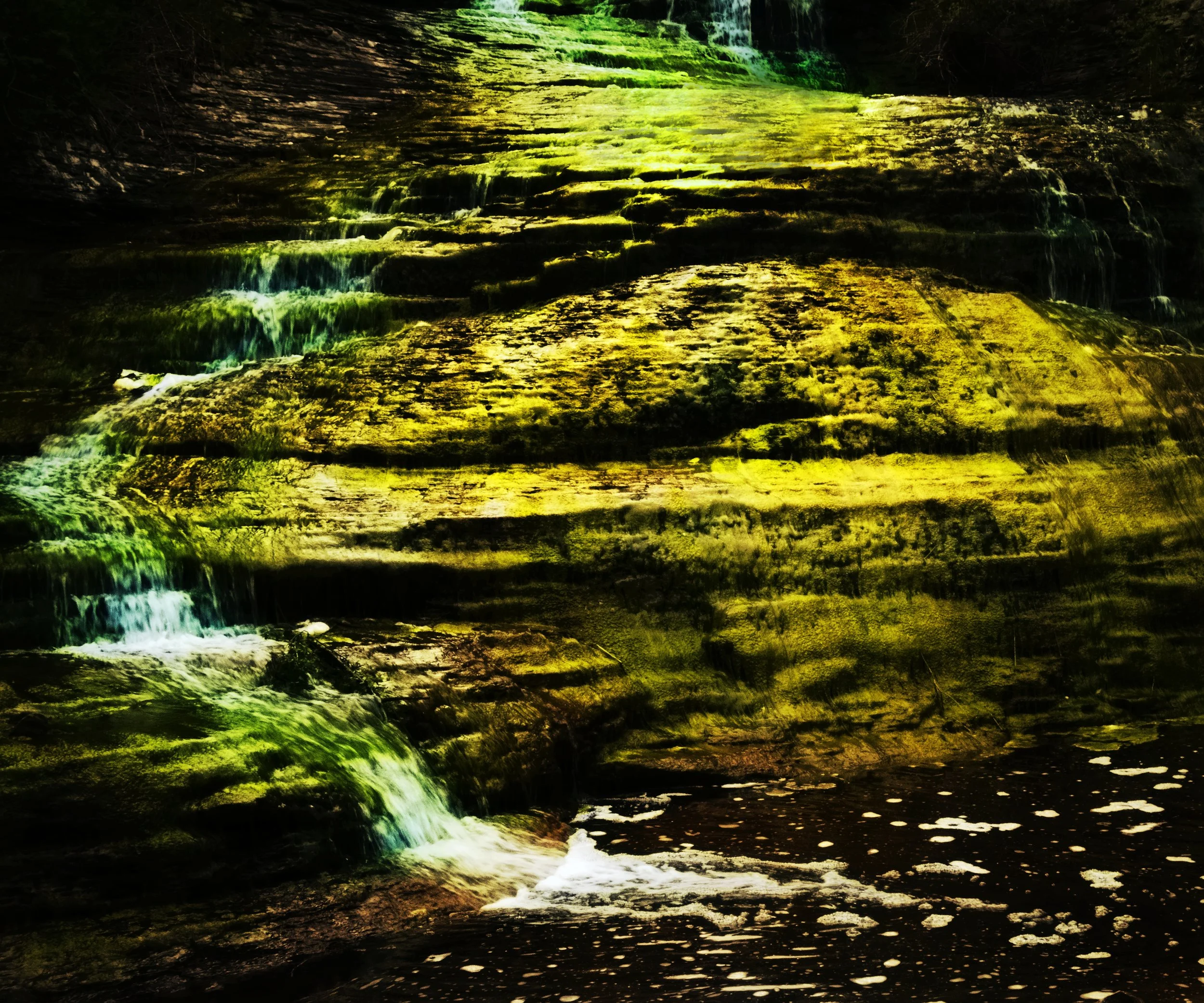 DSC_1945bkce.jpg