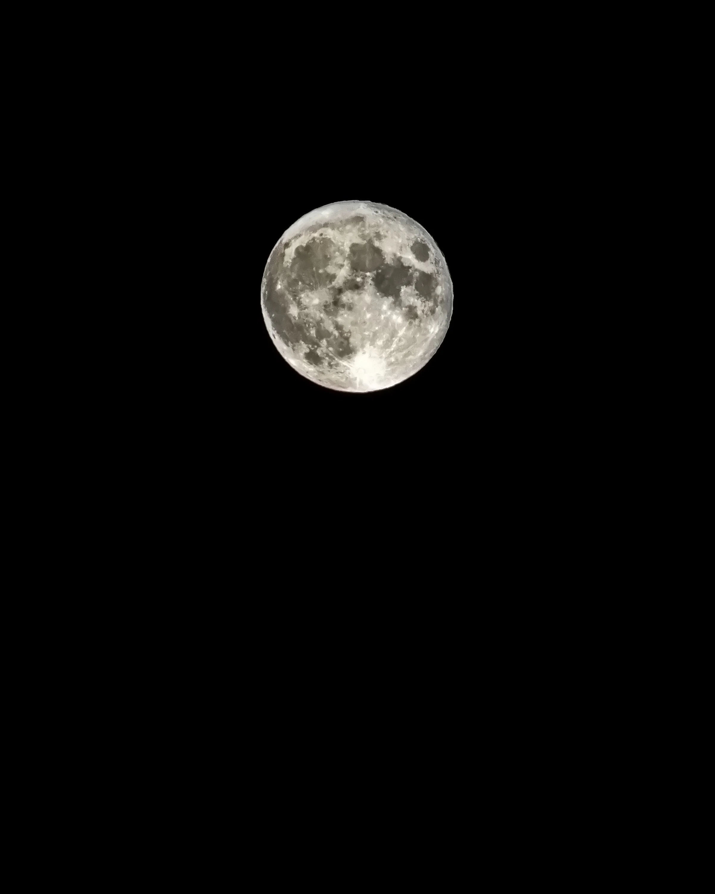 DSC_2272i.jpg