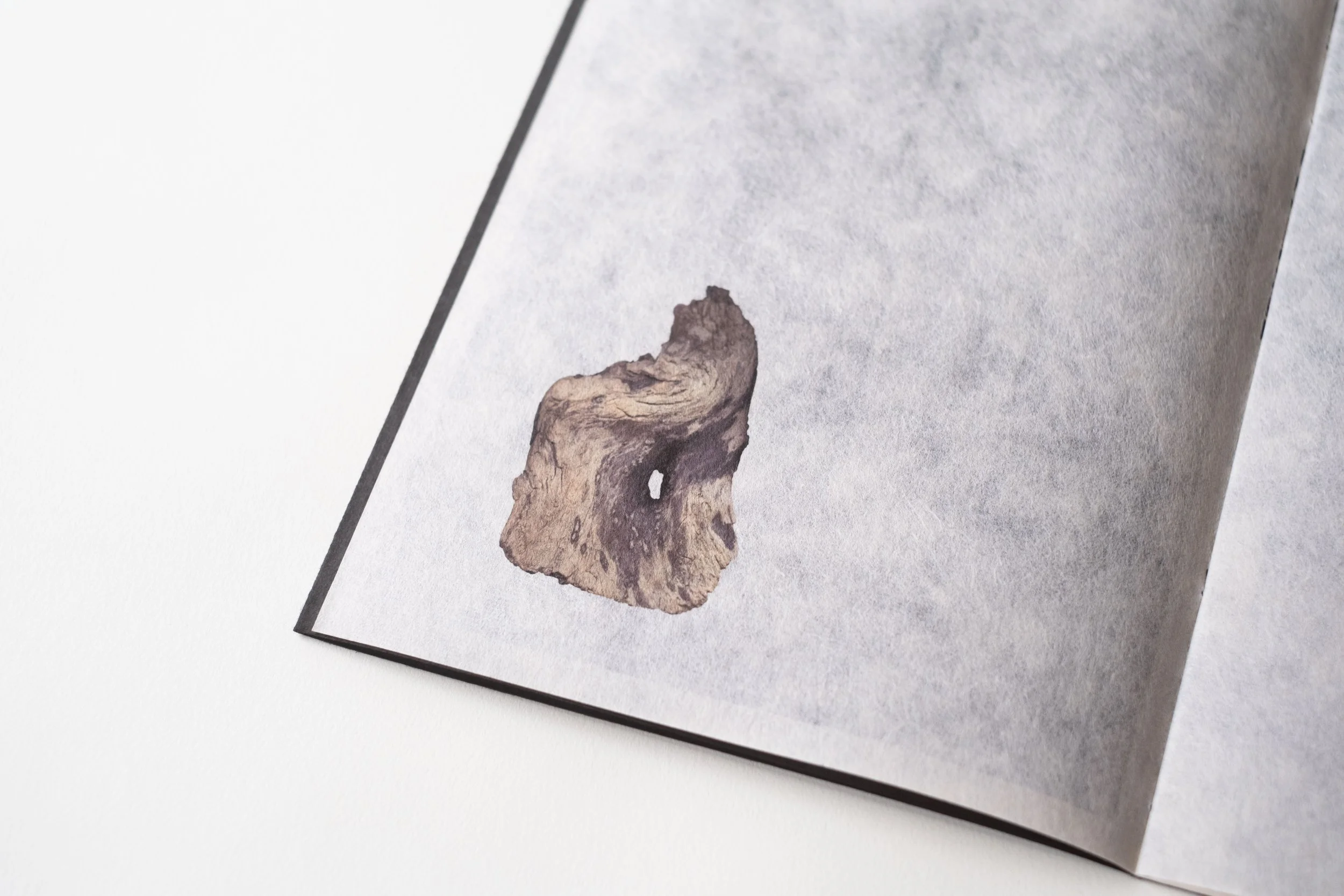 _DSF0178.jpg