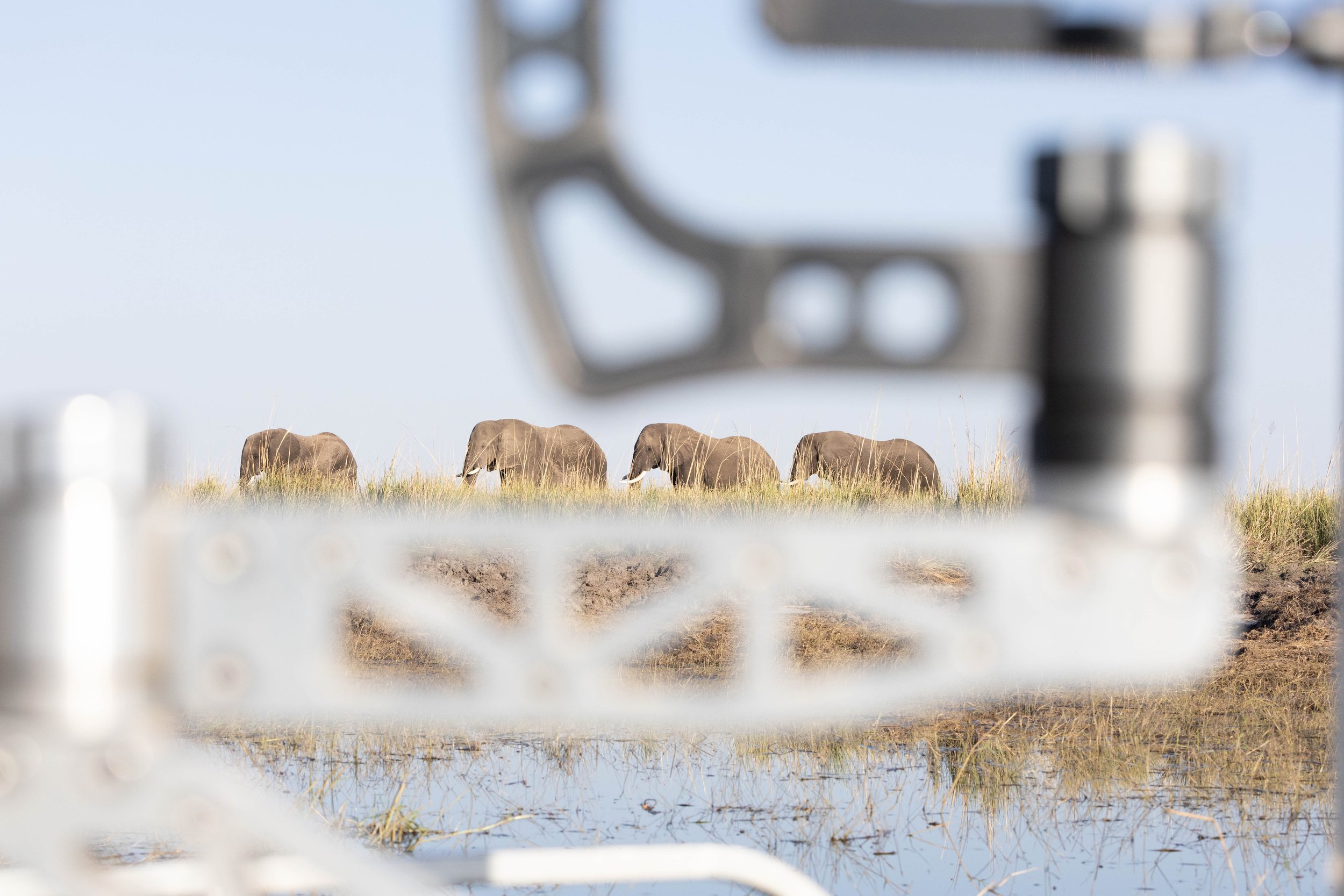 Views of elephants in a grassy plain, seen through a blurred camera gimbal.