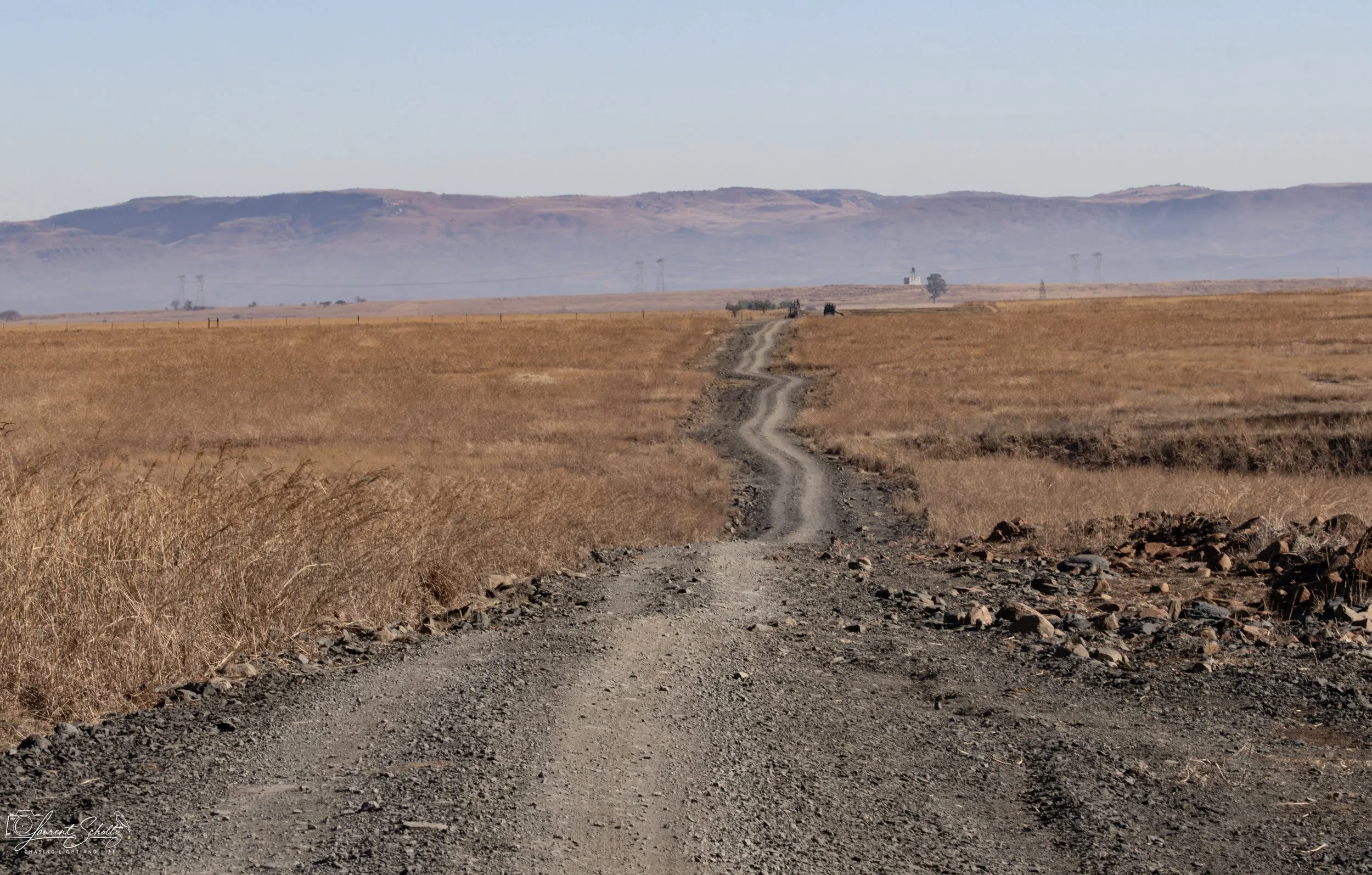 A rugged dirt road winding through a dry grassland with mountains in the distance under a clear sky.