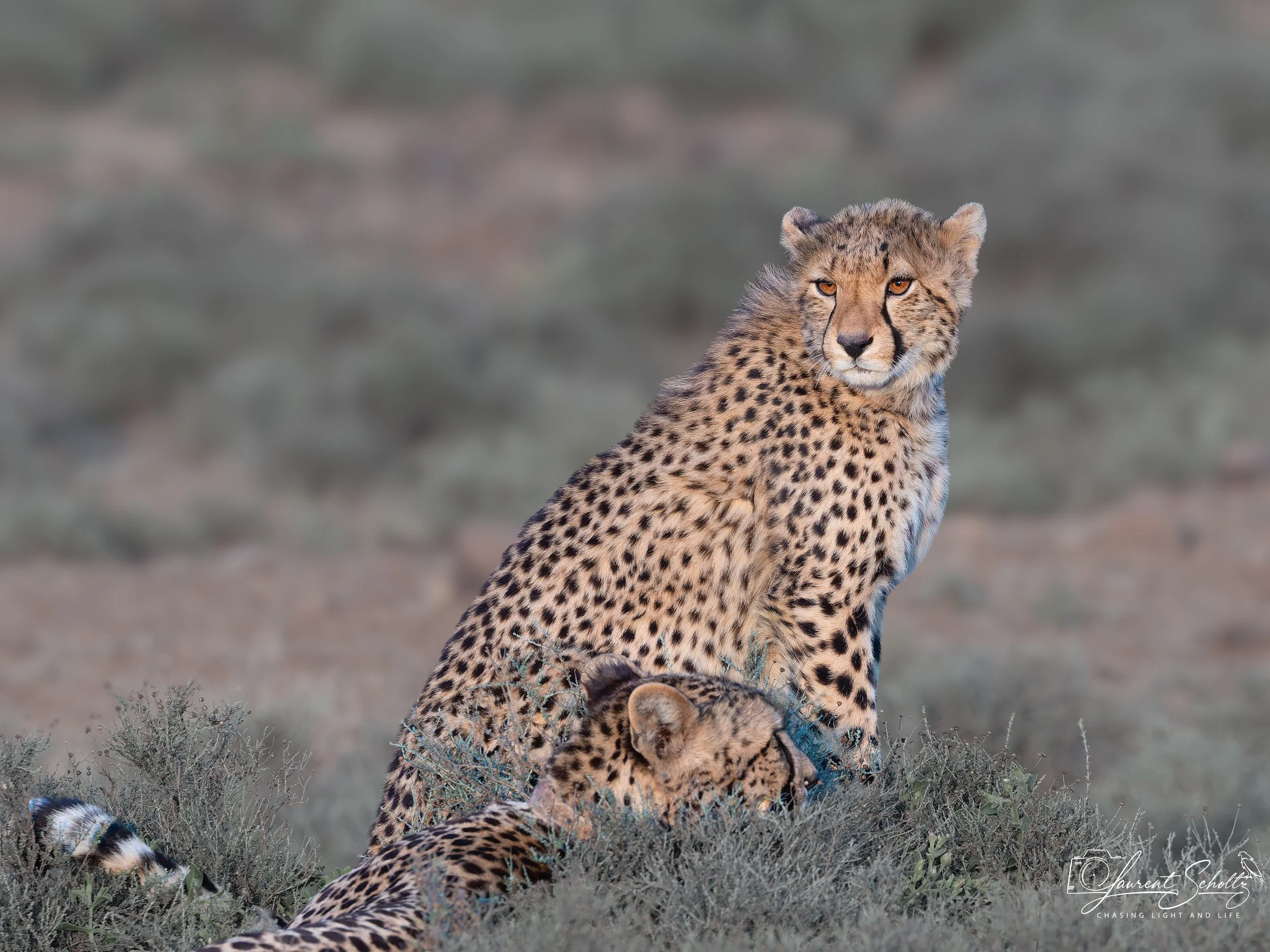 20260910-_53A2843-2.JPG