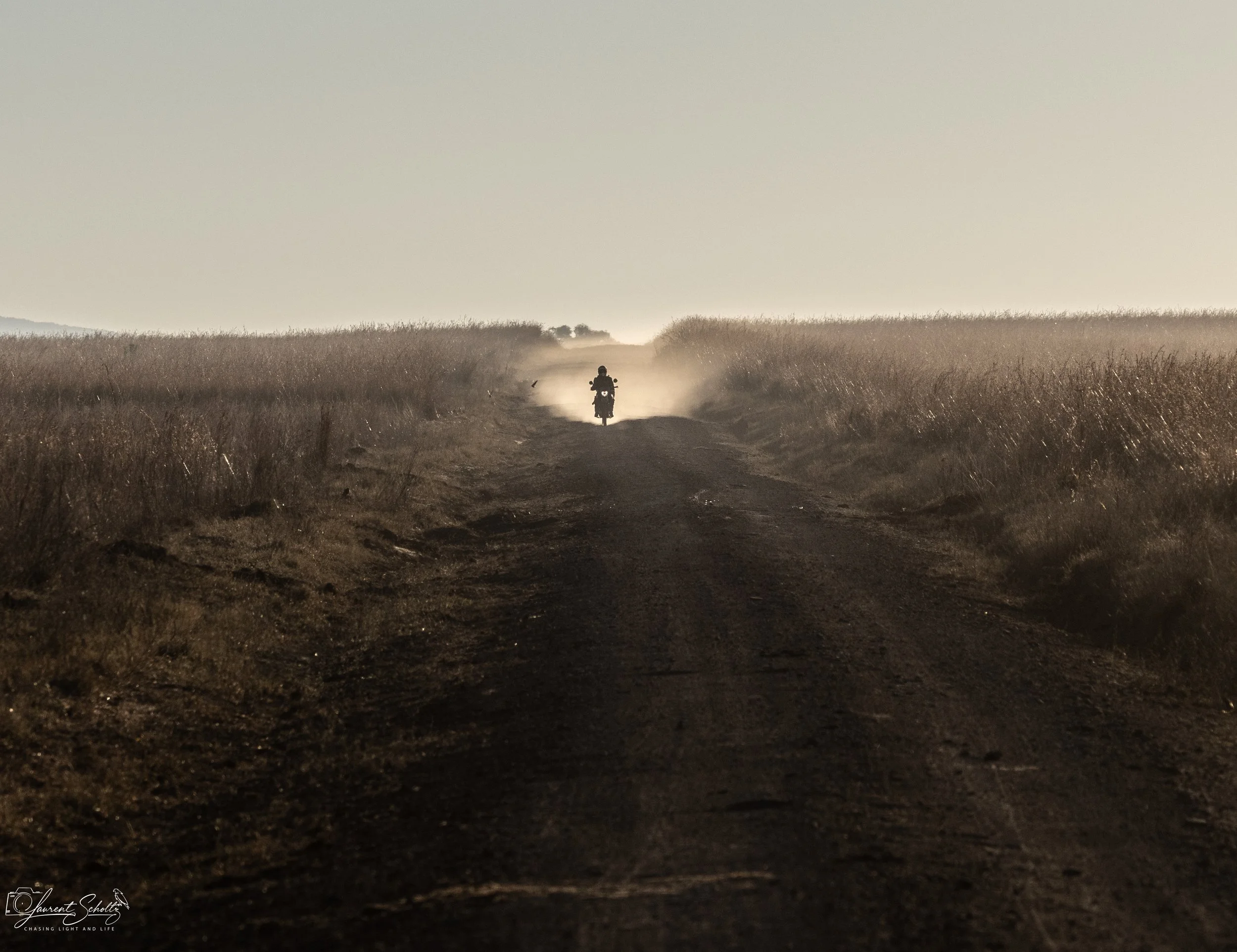 A person riding a motorcycle on a dirt road through a field of tall, dry grass with dust clouds behind them, under a clear sky.