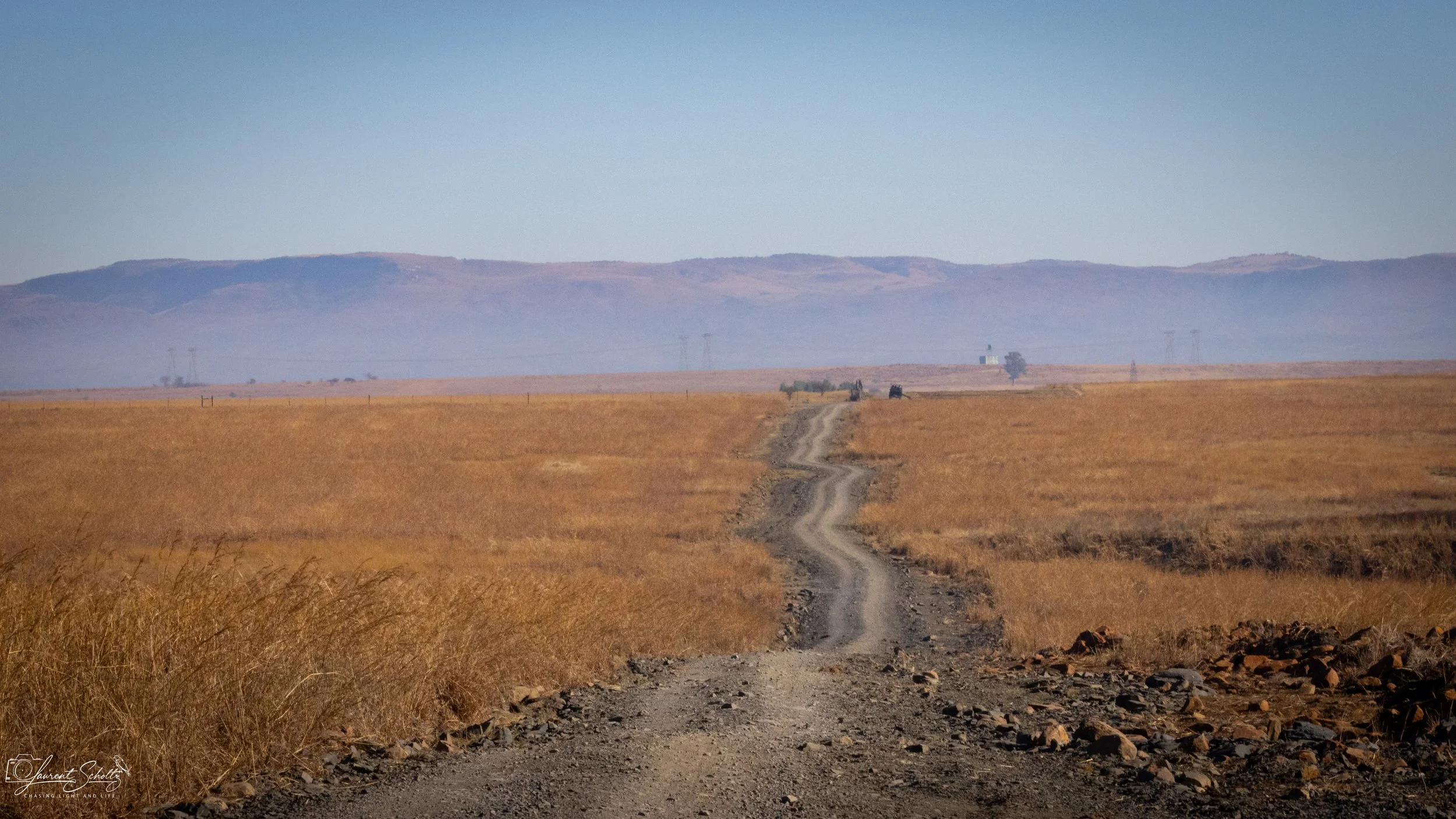 A dirt road runs through a dry, open field with golden grass, leading toward distant mountains under a clear blue sky.